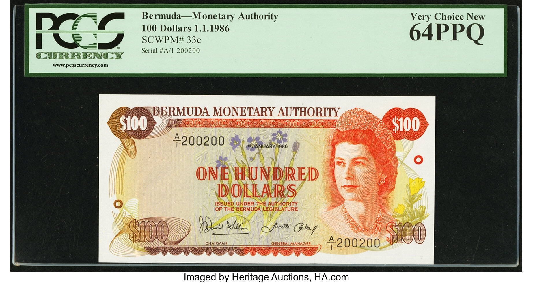 image for: Bermuda  100 dollars (B206bs1)