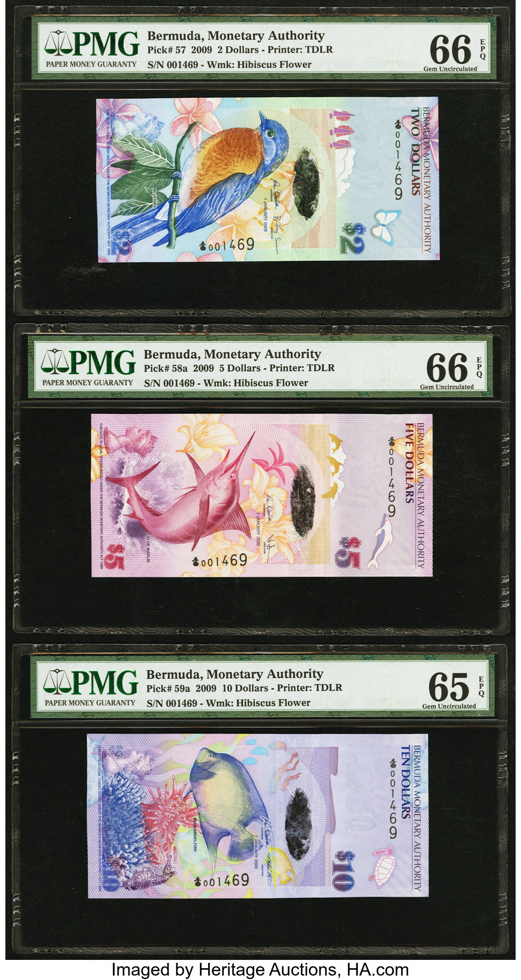 image for: Bermuda  20 dollars (B233a)