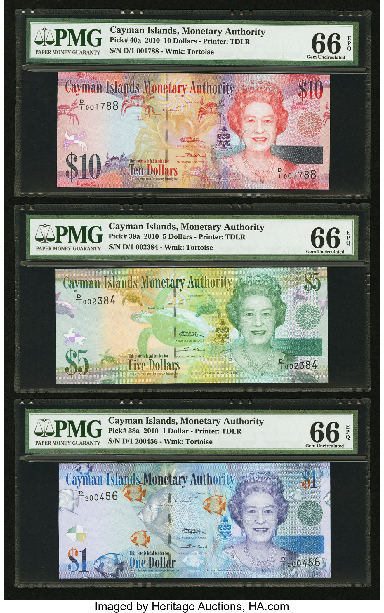 image for: Cayman Islands  100 dollars (B223az)