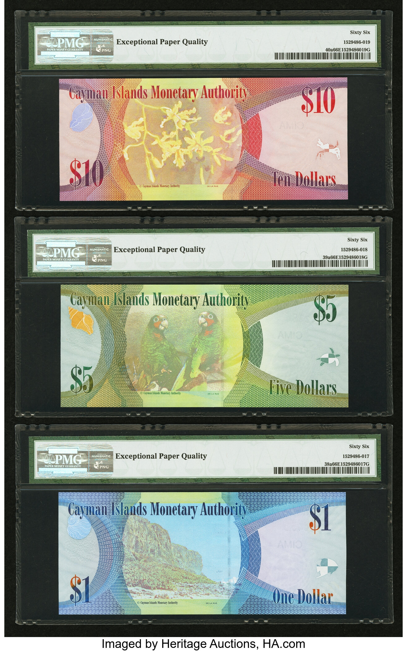 image for: Cayman Islands  50 dollars (B222b)
