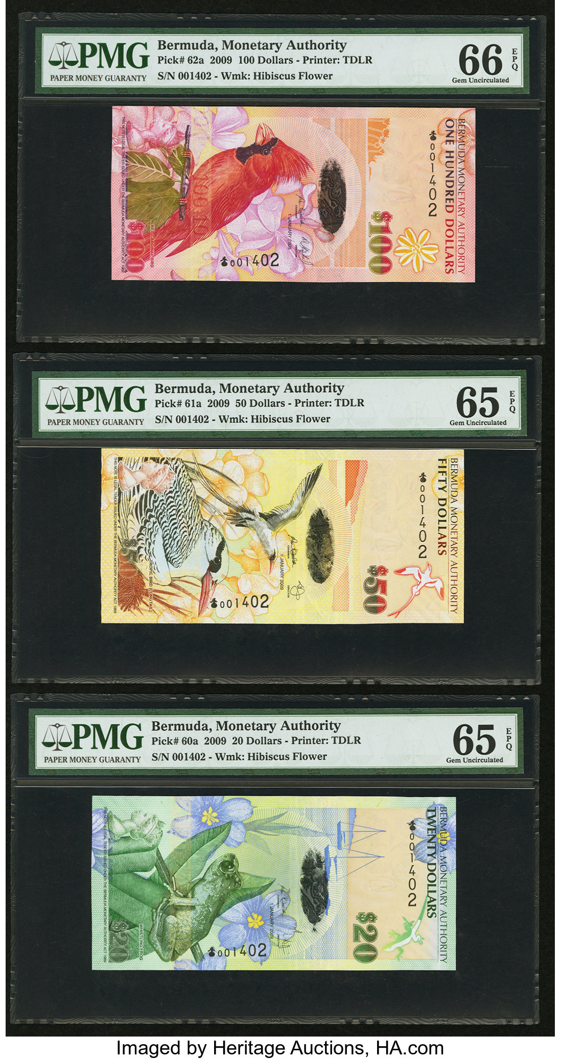 image for: Bermuda  5 dollars (B231as)