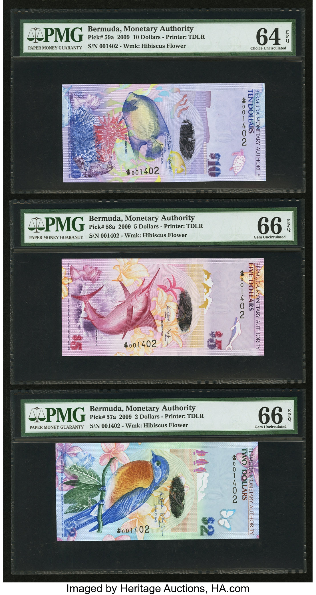 image for: Bermuda  20 dollars (B233z)