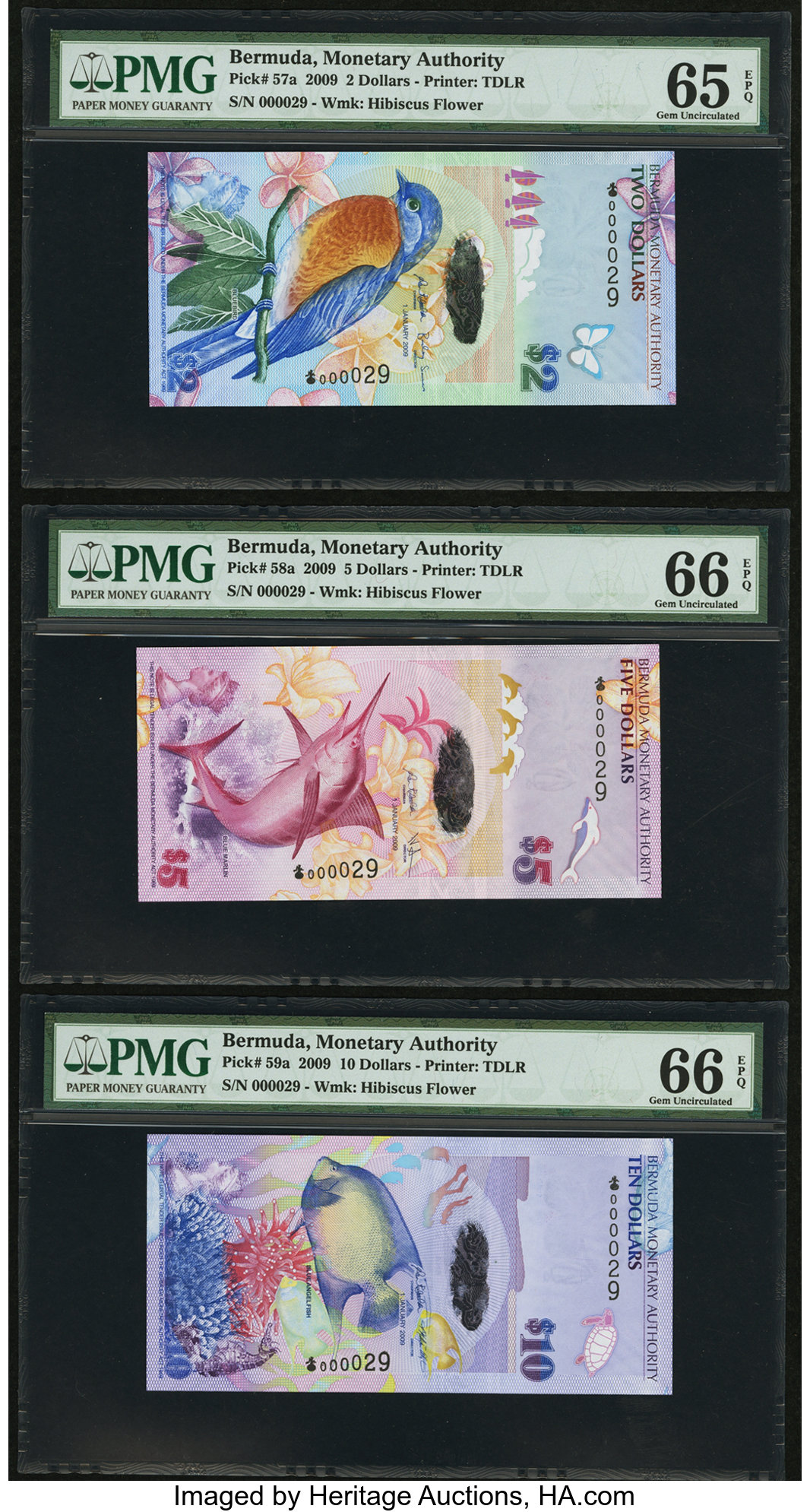 image for: Bermuda  20 dollars (B233as)