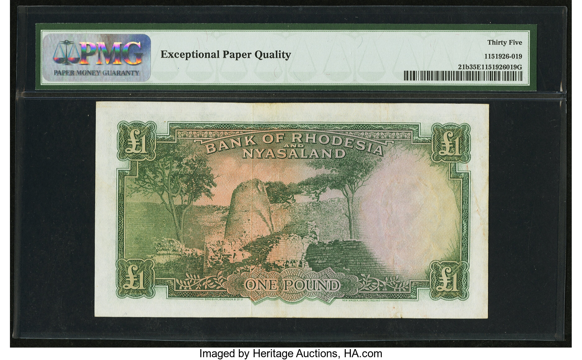 image for: Rhodesia and Nyasaland  1 pound(B102a46s)