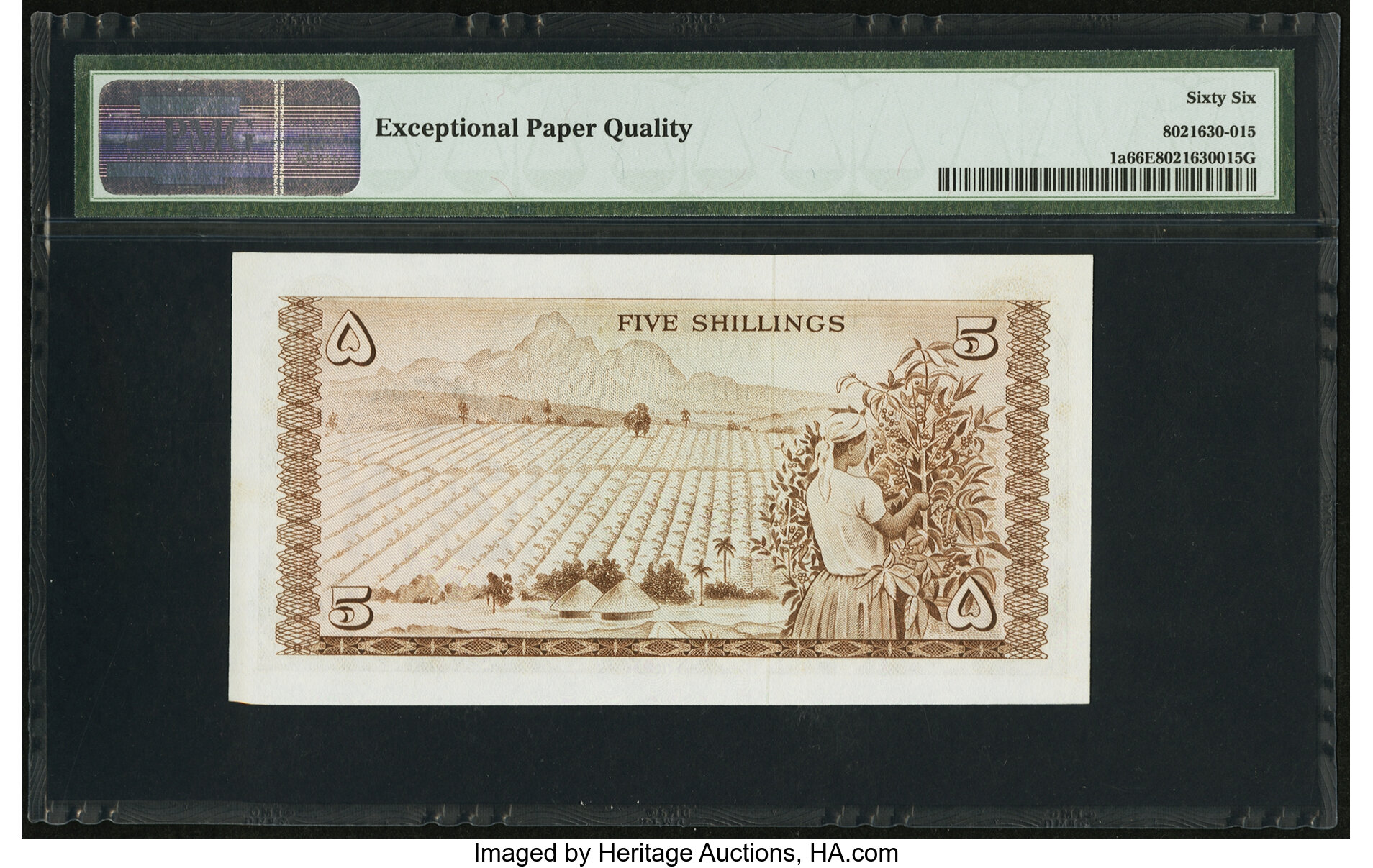 image for: Kenya  5 shillings (B101p)