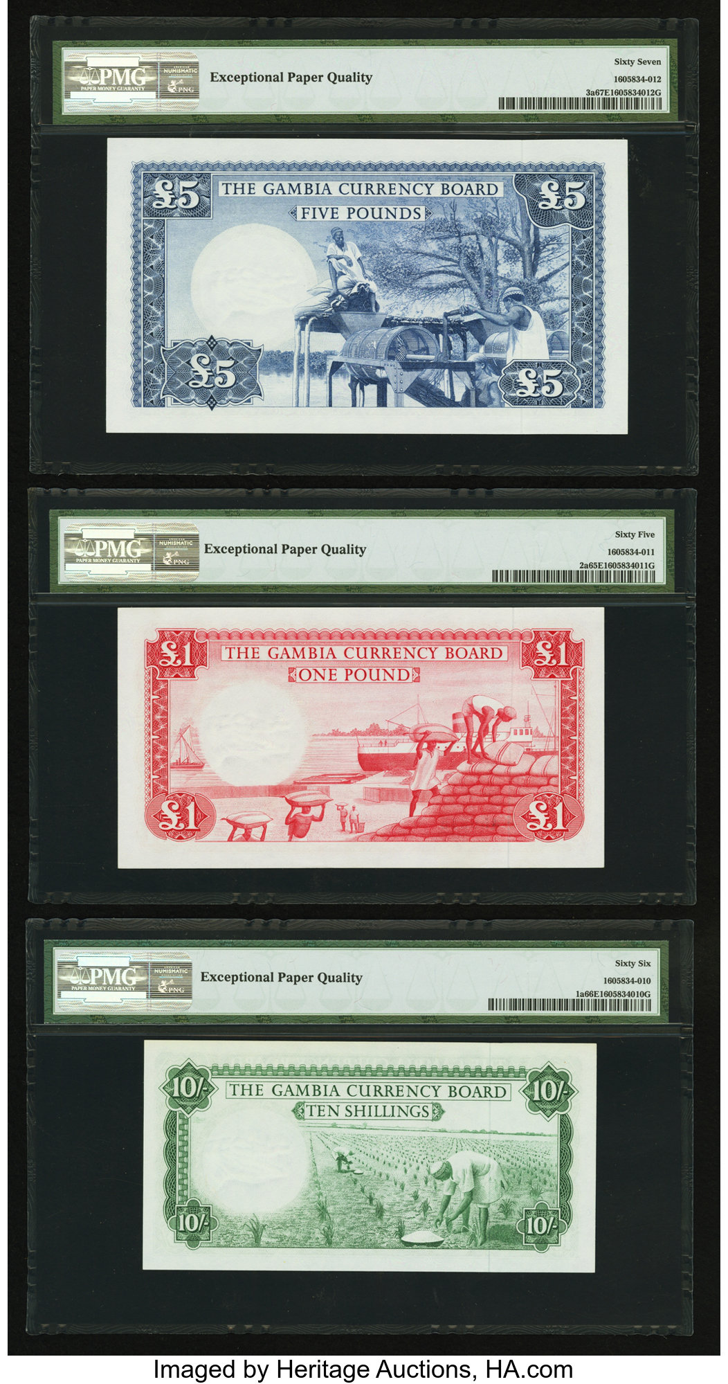 image for: Gambia  1 pound(B102az)