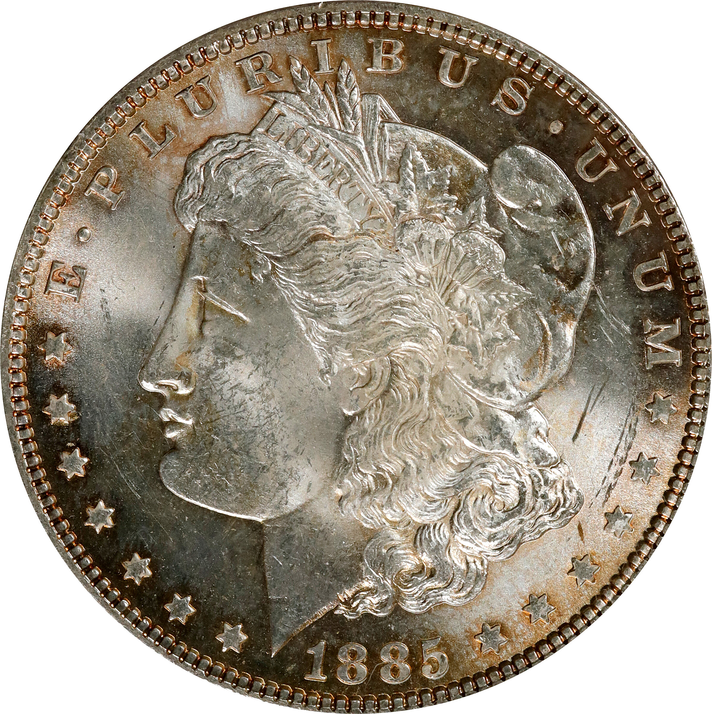 1885 Morgan Silver Dollar. VAM-1A2. Hot 50 Variety. Pitted Reverse. MS-63 (ANACS). Discovery Piece.