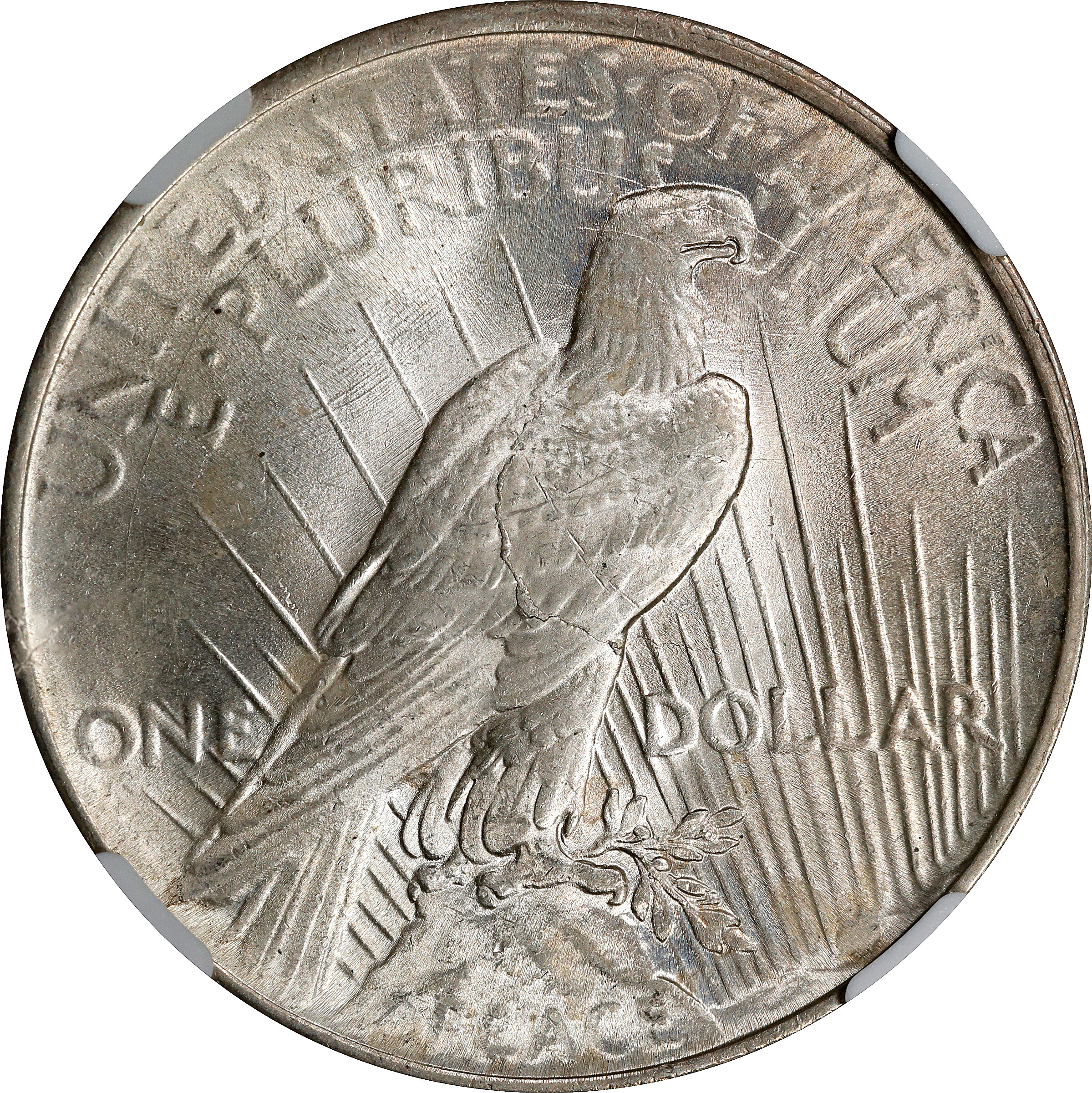 1924 $1  Broken Wing, VAM-5A MS64 CAC thumbnail 12