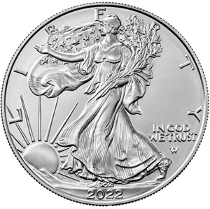 image for: 2022-W Burnished American Silver Eagle OGP