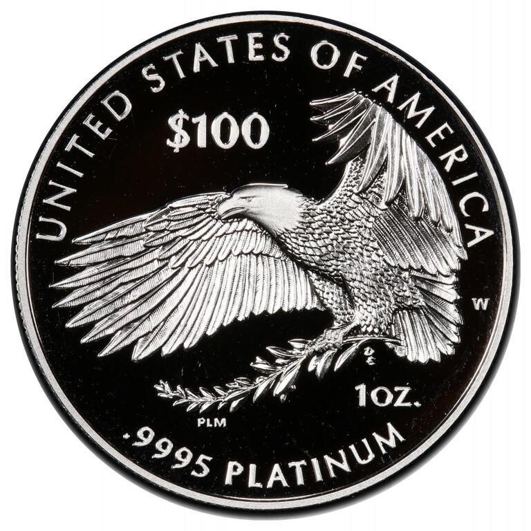 2019-W P$100  Platinum Eagle, Liberty PR DCAM PR65 DCAM thumbnail 2