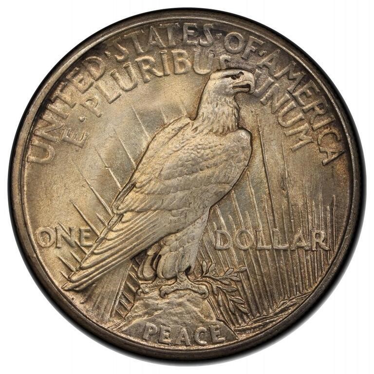 1921 $1  Peace, Reverse Field Break, VAM 1A MS61 thumbnail 7