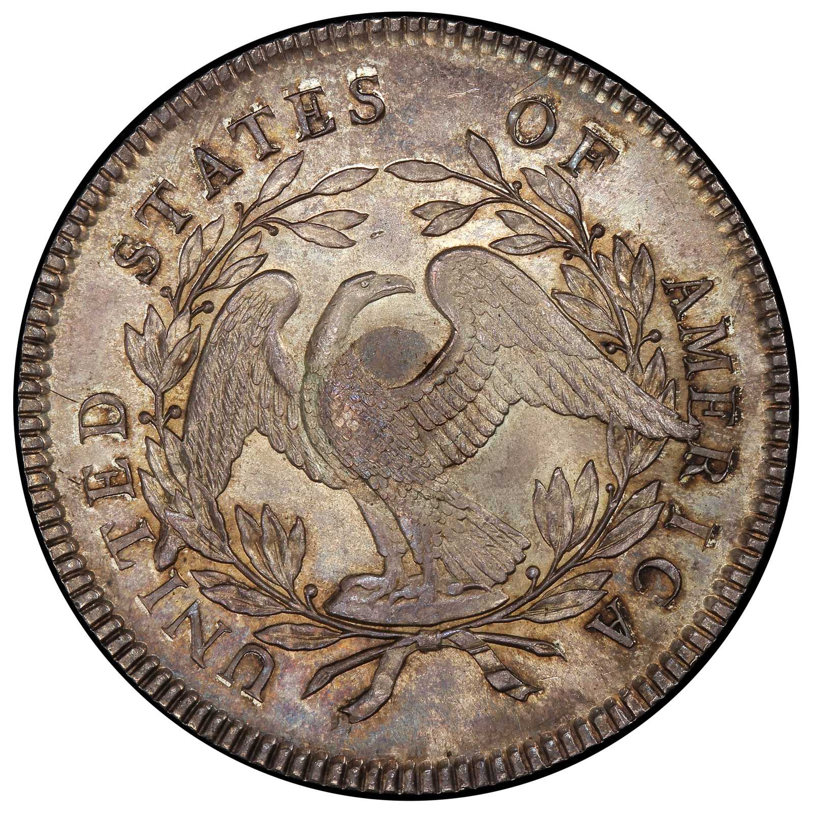 1795 $1  Flowing Hair, Silver Plug, 3 Leaves, B-7, BB-18 MS65 thumbnail 2