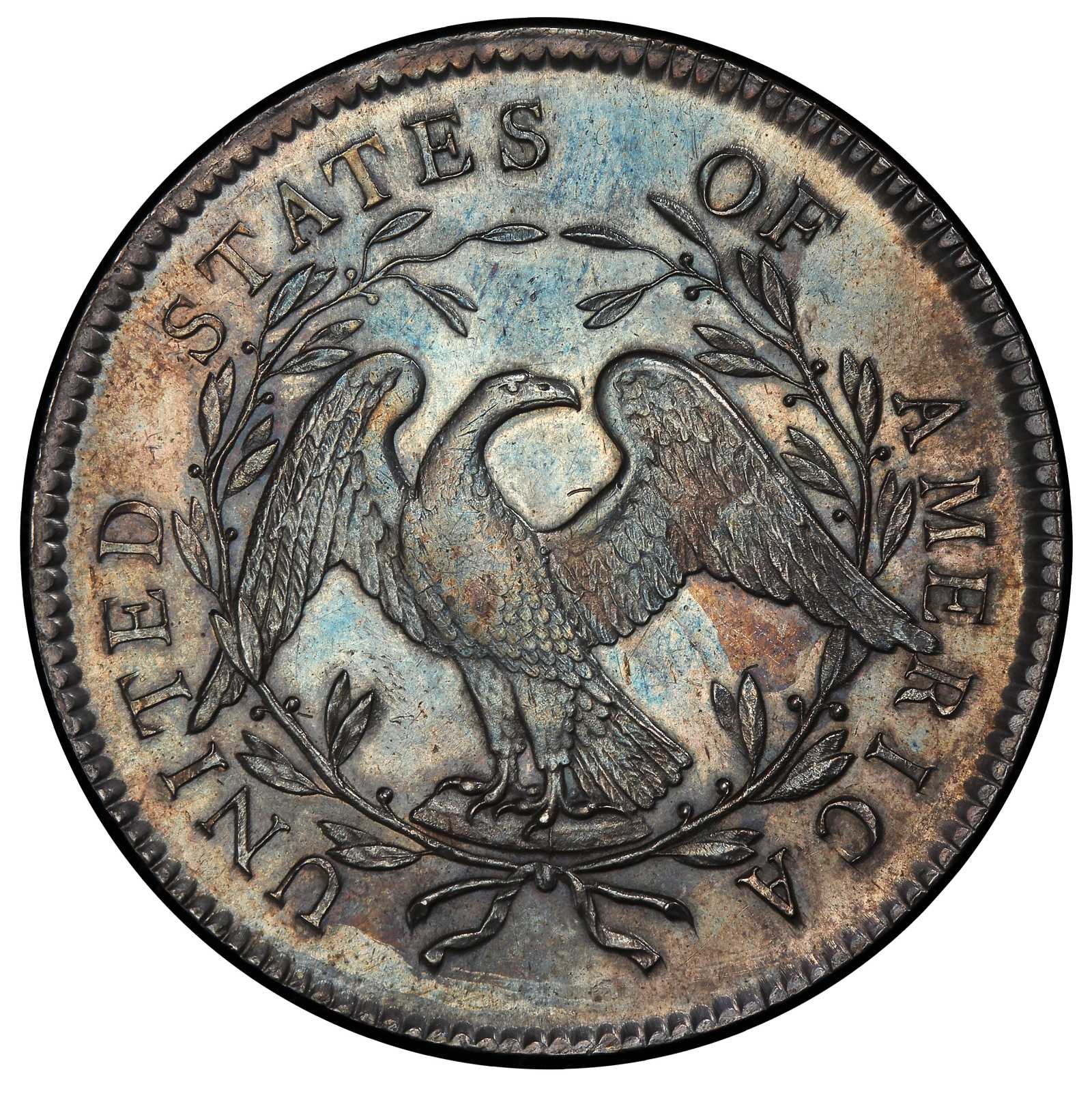 1795 $1  Flowing Hair, 2 Leaves, B-13, BB-24 AG2 thumbnail 9