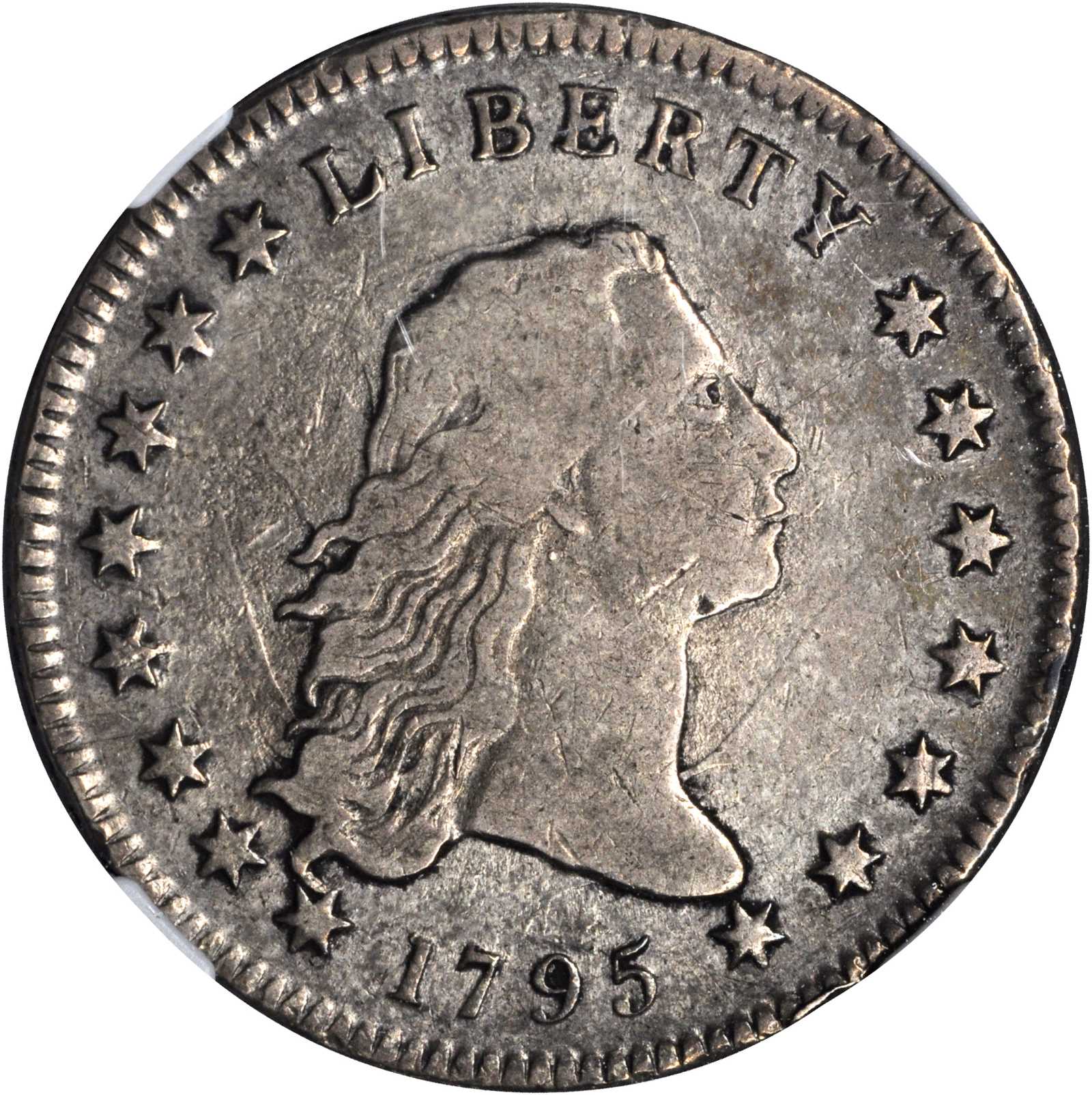 1795 Flowing Hair Silver Dollar. BB-13, B-9. Rarity-4. Two Leaves. VF-30 (NGC).
