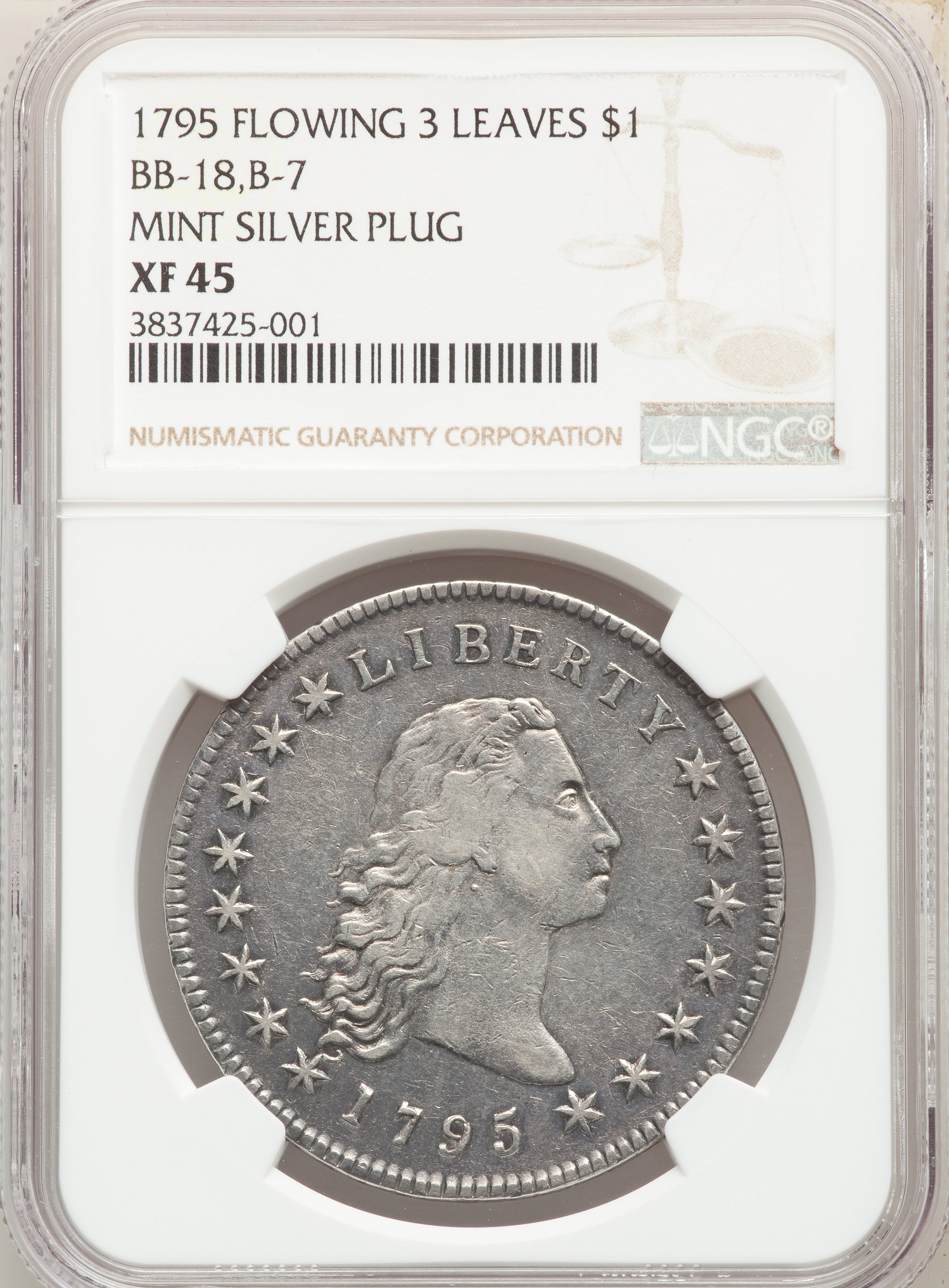 1795 $1  Flowing Hair, Silver Plug, 3 Leaves, B-7, BB-18 AU53 thumbnail 18