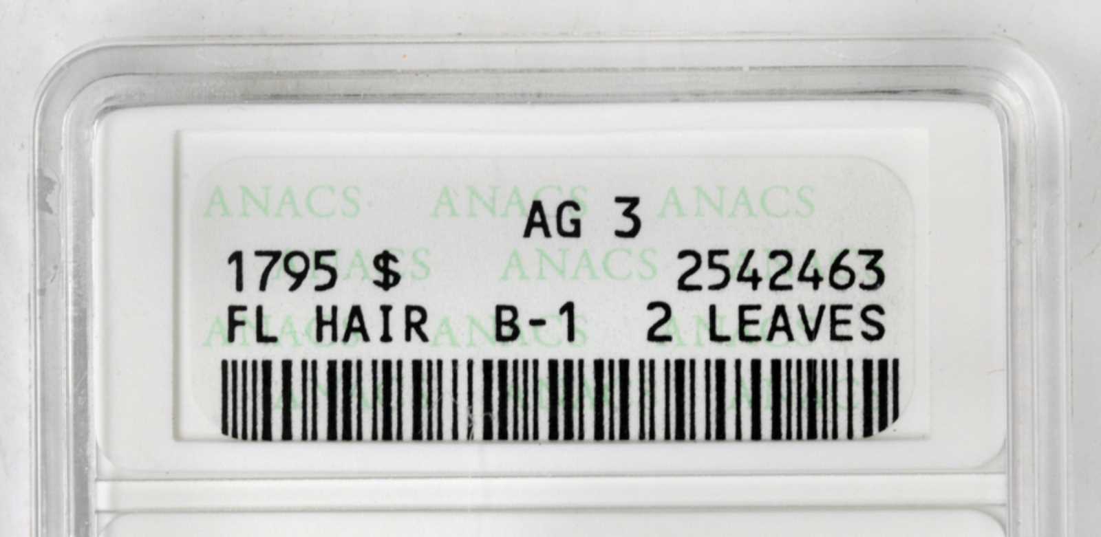 1795 $1  Flowing Hair, 2 Leaves, B-1, BB-21 AG3 CAC thumbnail 3