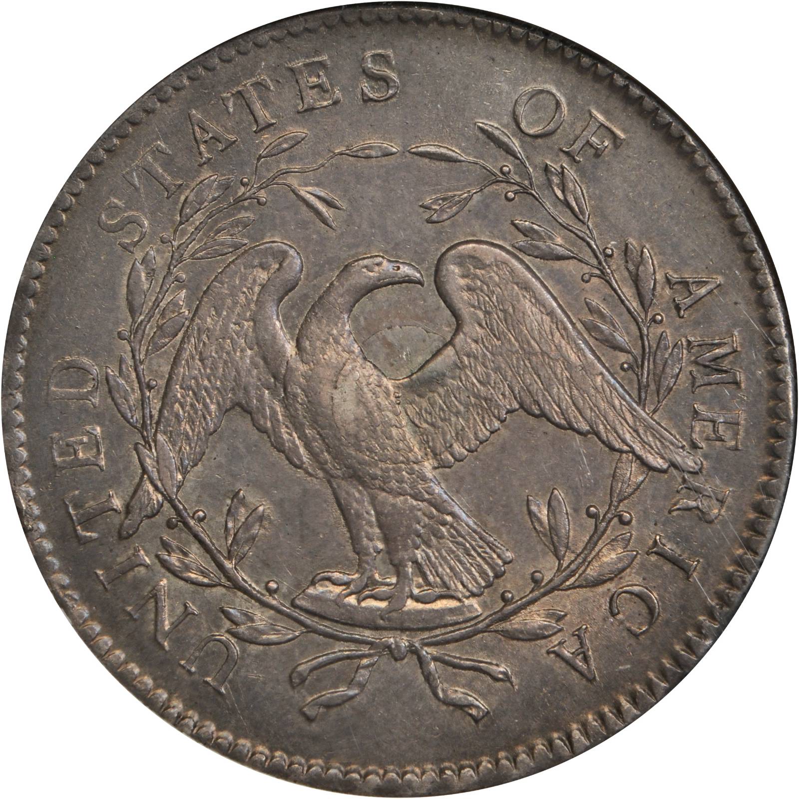 1795 $1  Flowing Hair, Silver Plug, 2 Leaves, B-1, BB-21 MS63 thumbnail 6
