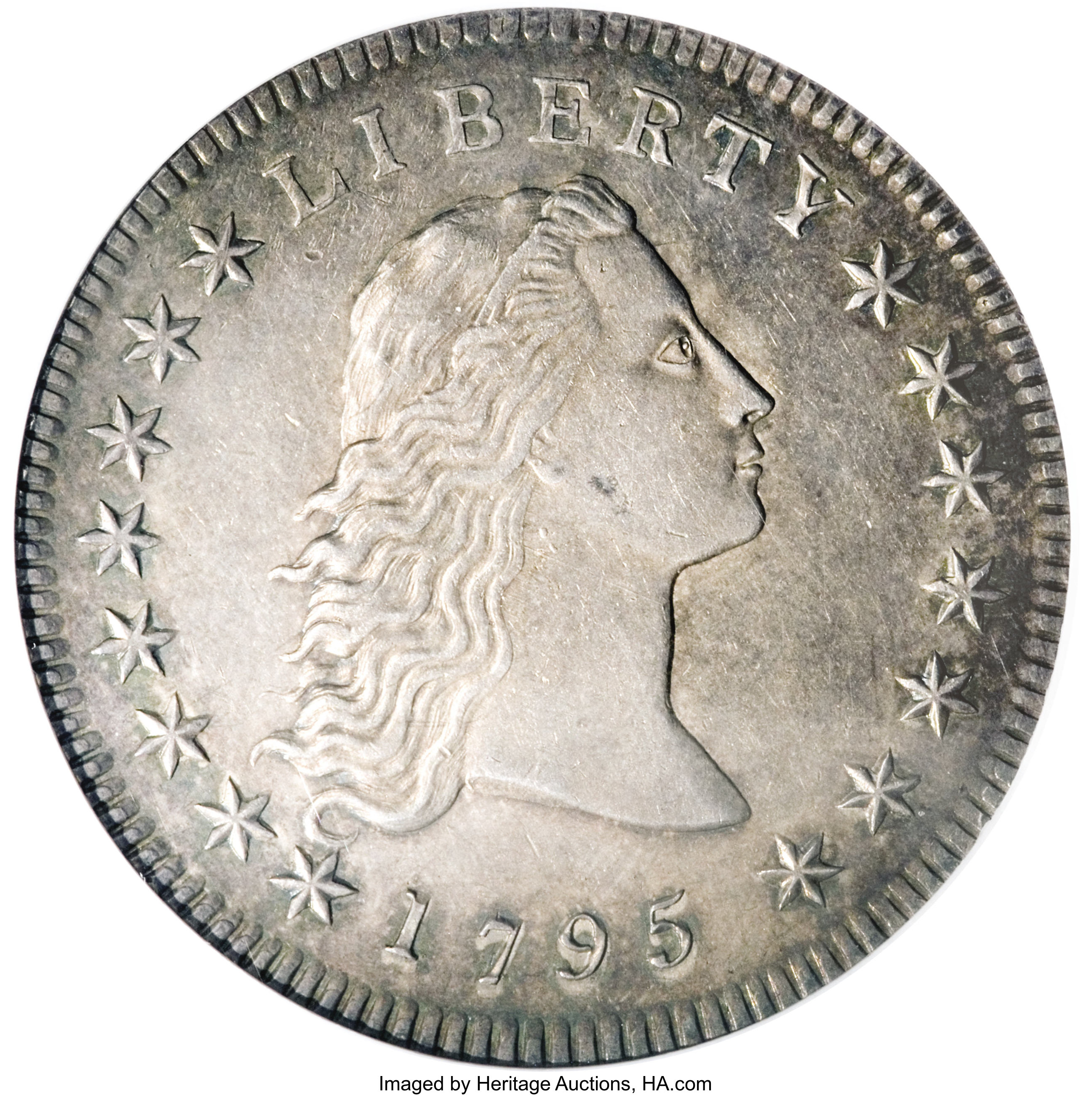 1795 $1 Flowing Hair, 2 Leaves, B-10, BB-22 MS
