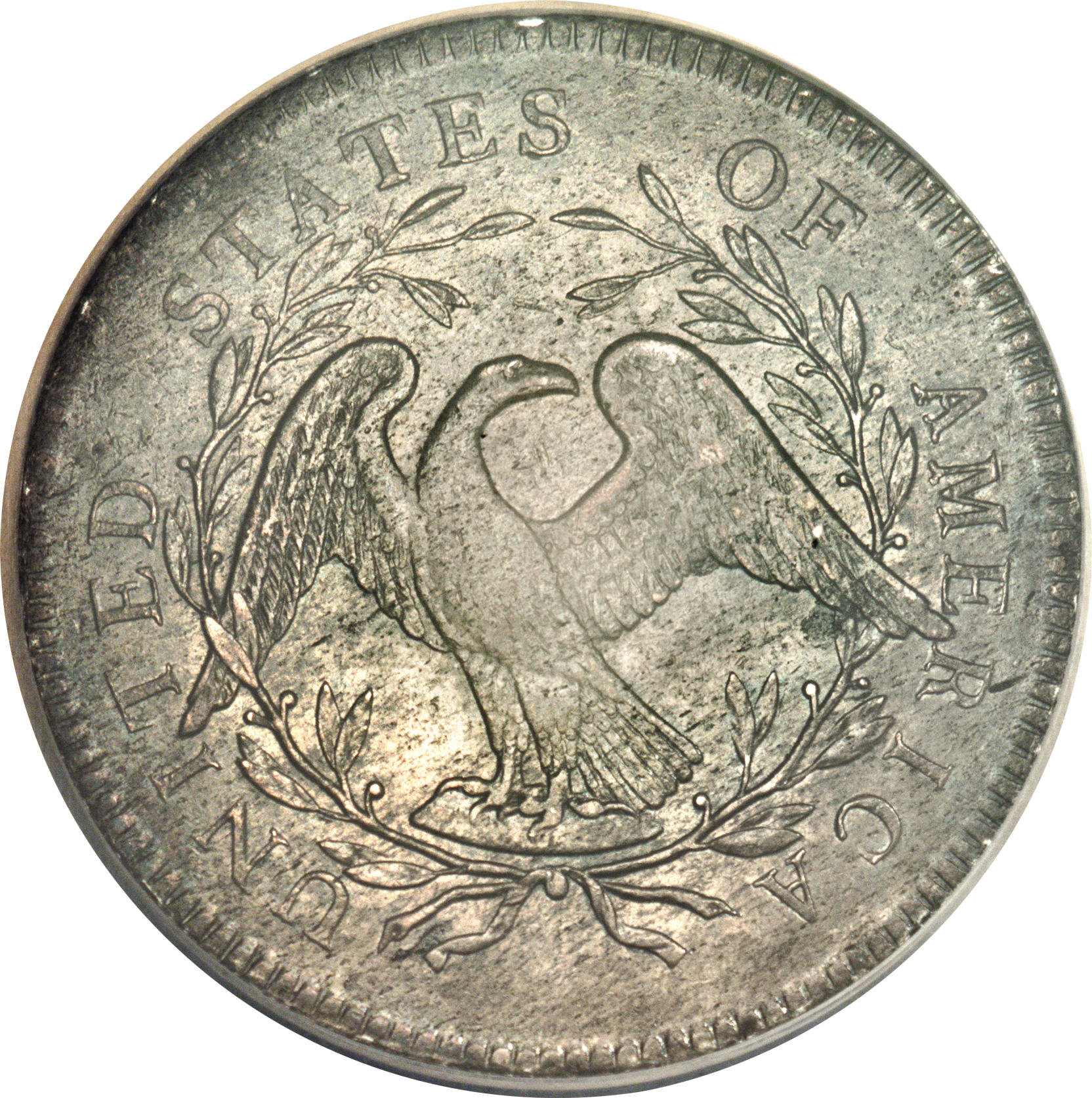 1795 $1  Flowing Hair, 2 Leaves, B-9, BB-13 MS66 thumbnail 17