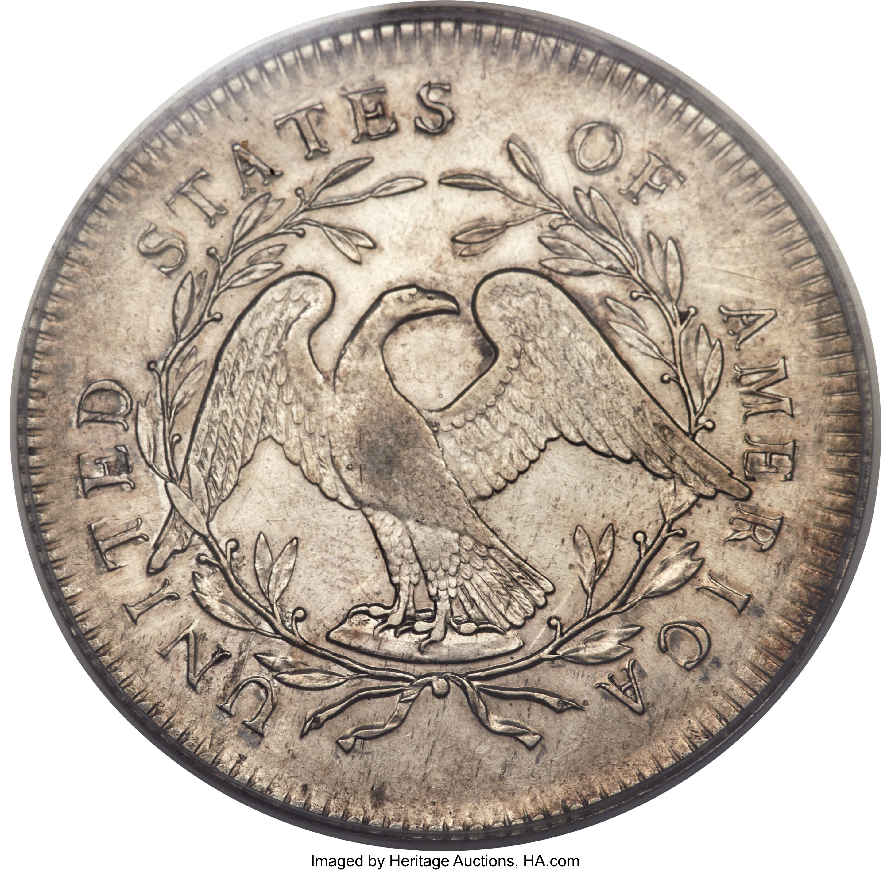 1795 $1  Flowing Hair, 2 Leaves, B-9, BB-13 MS66 thumbnail 13