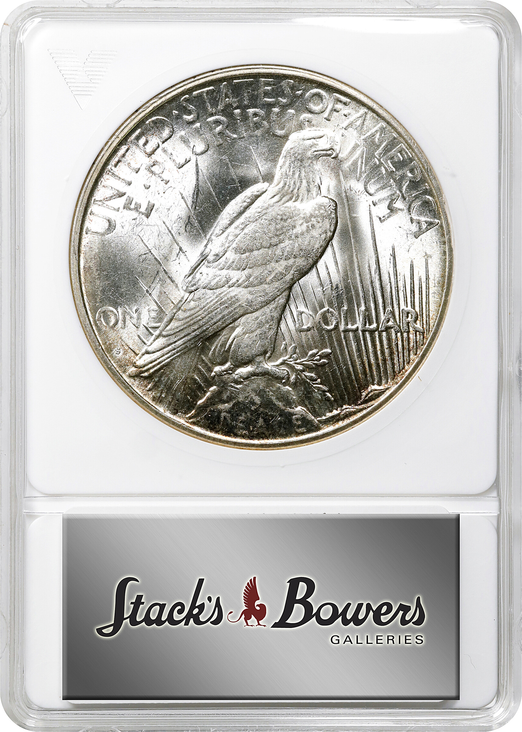1925-S $1  Doubled Reverse, VAM-2 MS61 thumbnail 4