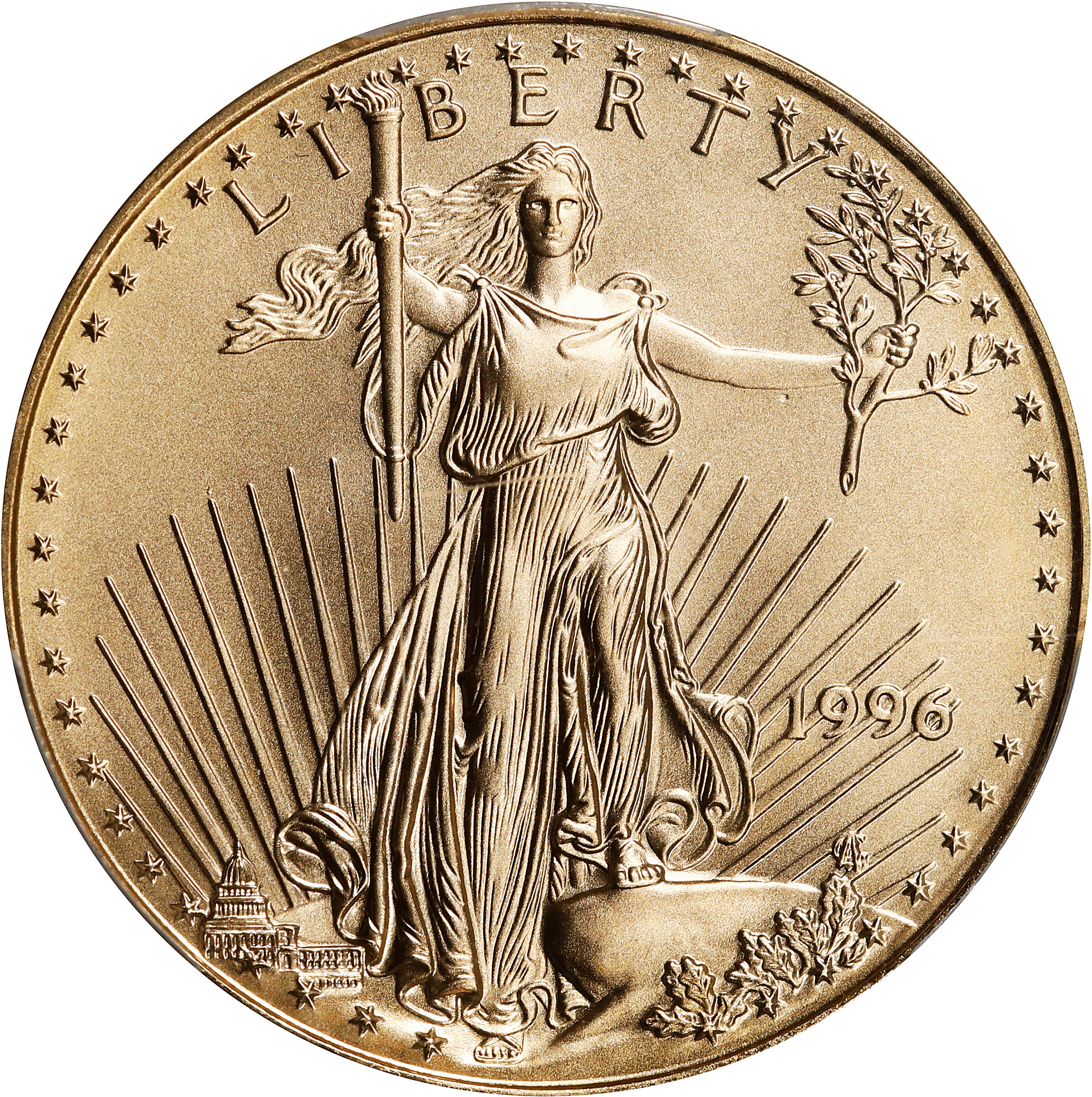 1996 Half-Ounce Gold Eagle. MS-70 (PCGS).
