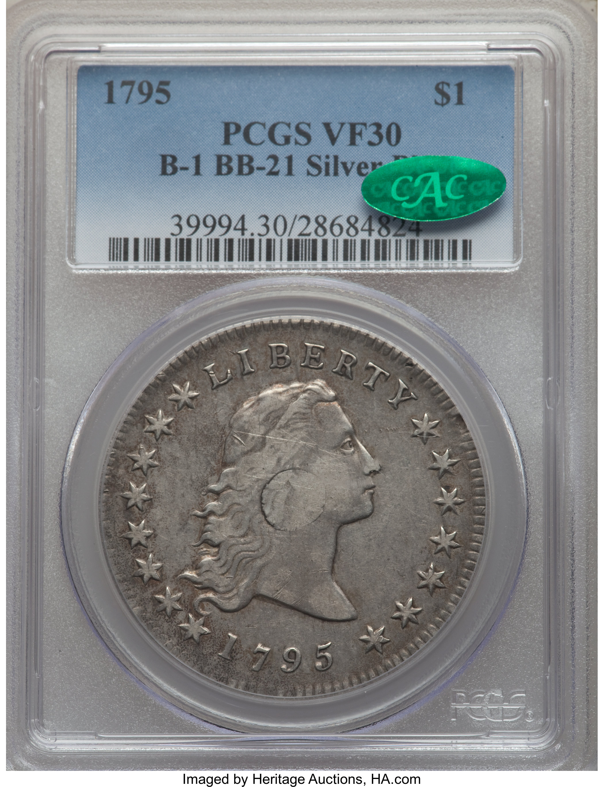1795 $1  Flowing Hair, Silver Plug, 2 Leaves, B-1, BB-21 XF40 thumbnail 7