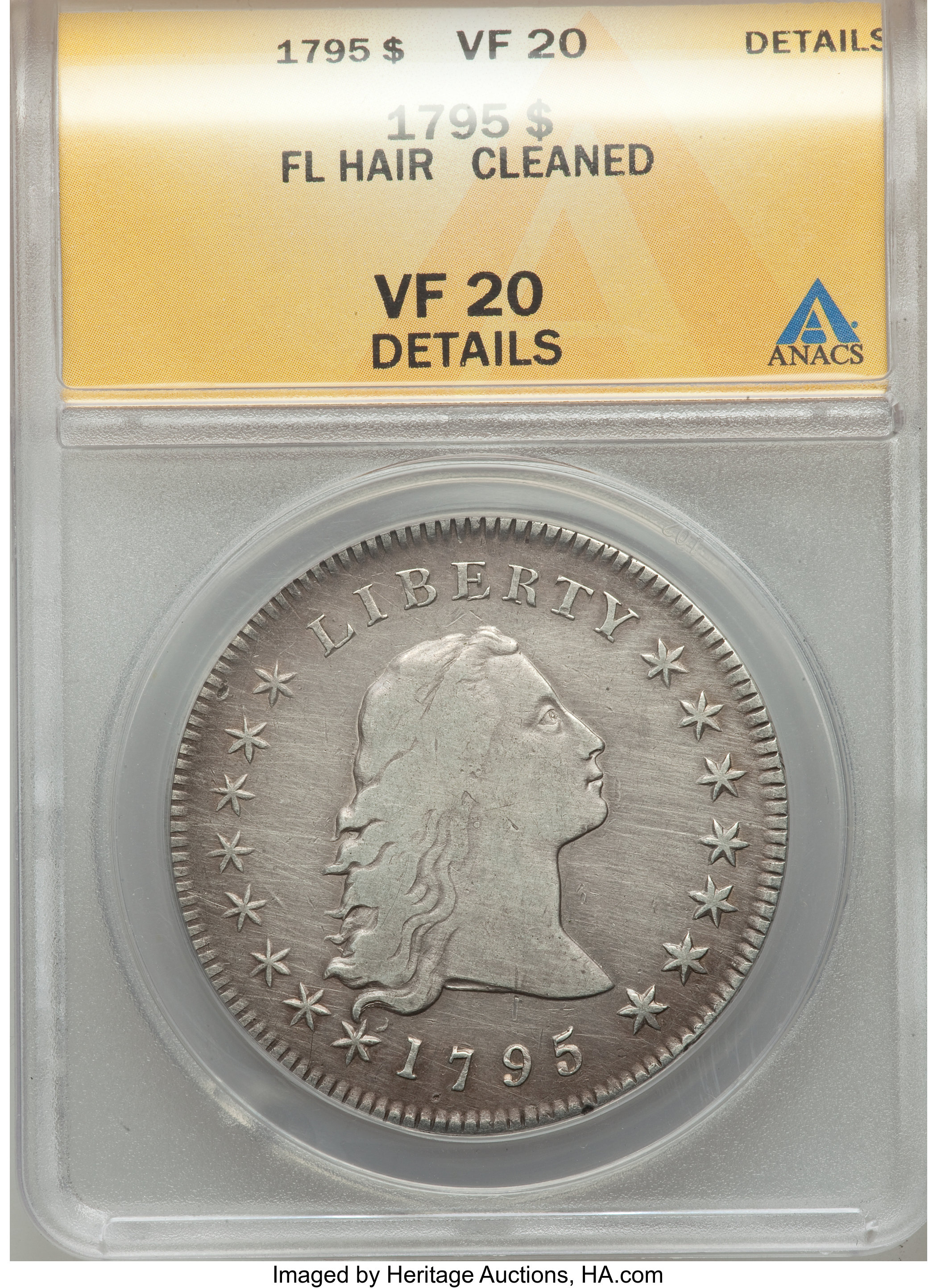 1795 $1 Flowing Hair, Two Leaves, B-2, BB-20, R.3 -- Cleaned -- ANACS. VF20 Details. ...