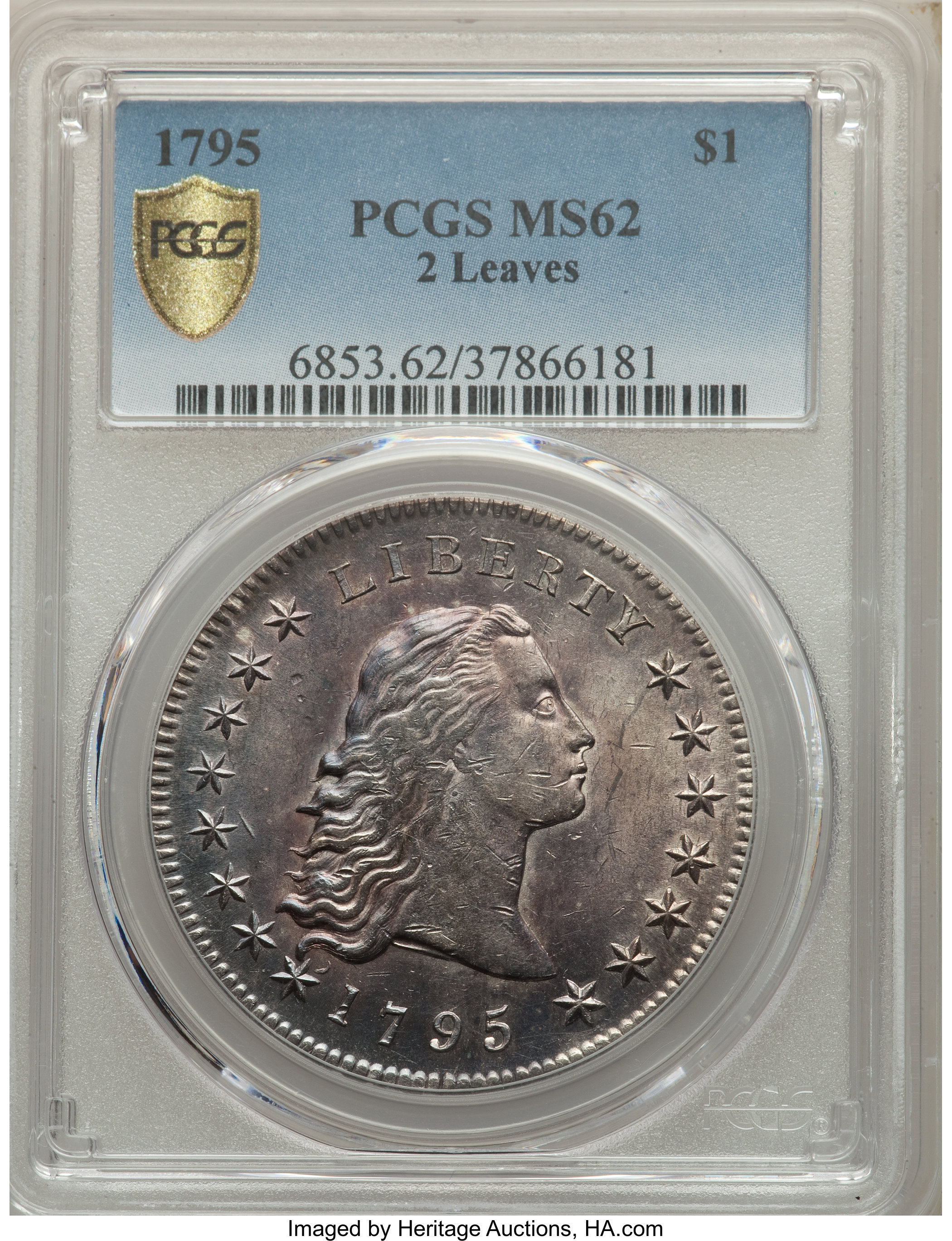 1795 $1  Flowing Hair, 2 Leaves, B-2, BB-20 MS66 thumbnail 12