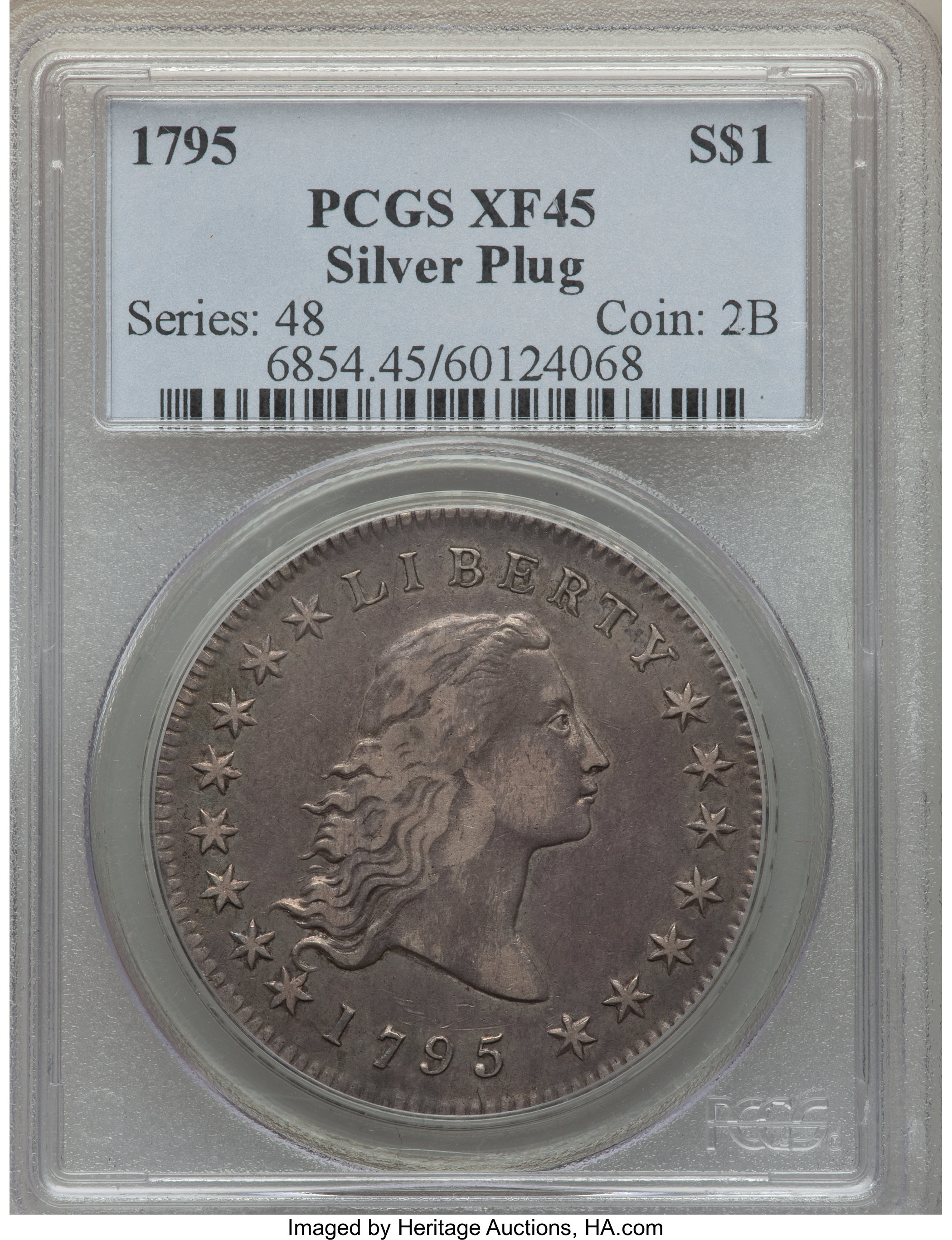1795 $1  Flowing Hair, Silver Plug, 2 Leaves, B-1, BB-21 XF40 thumbnail 3