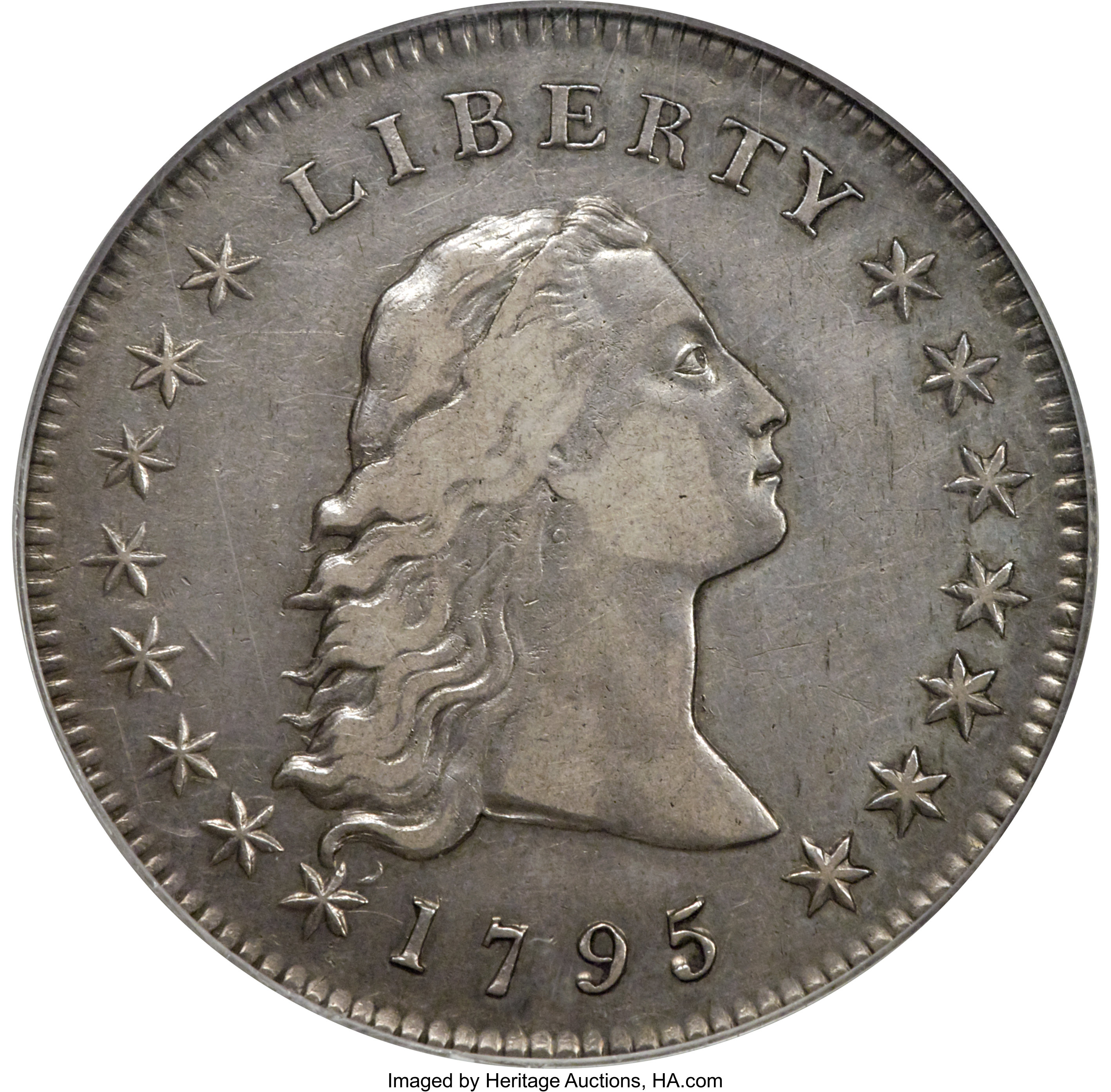 1795 $1 Flowing Hair, Two Leaves, B-2, BB-20, R.3, XF40 PCGS. ...