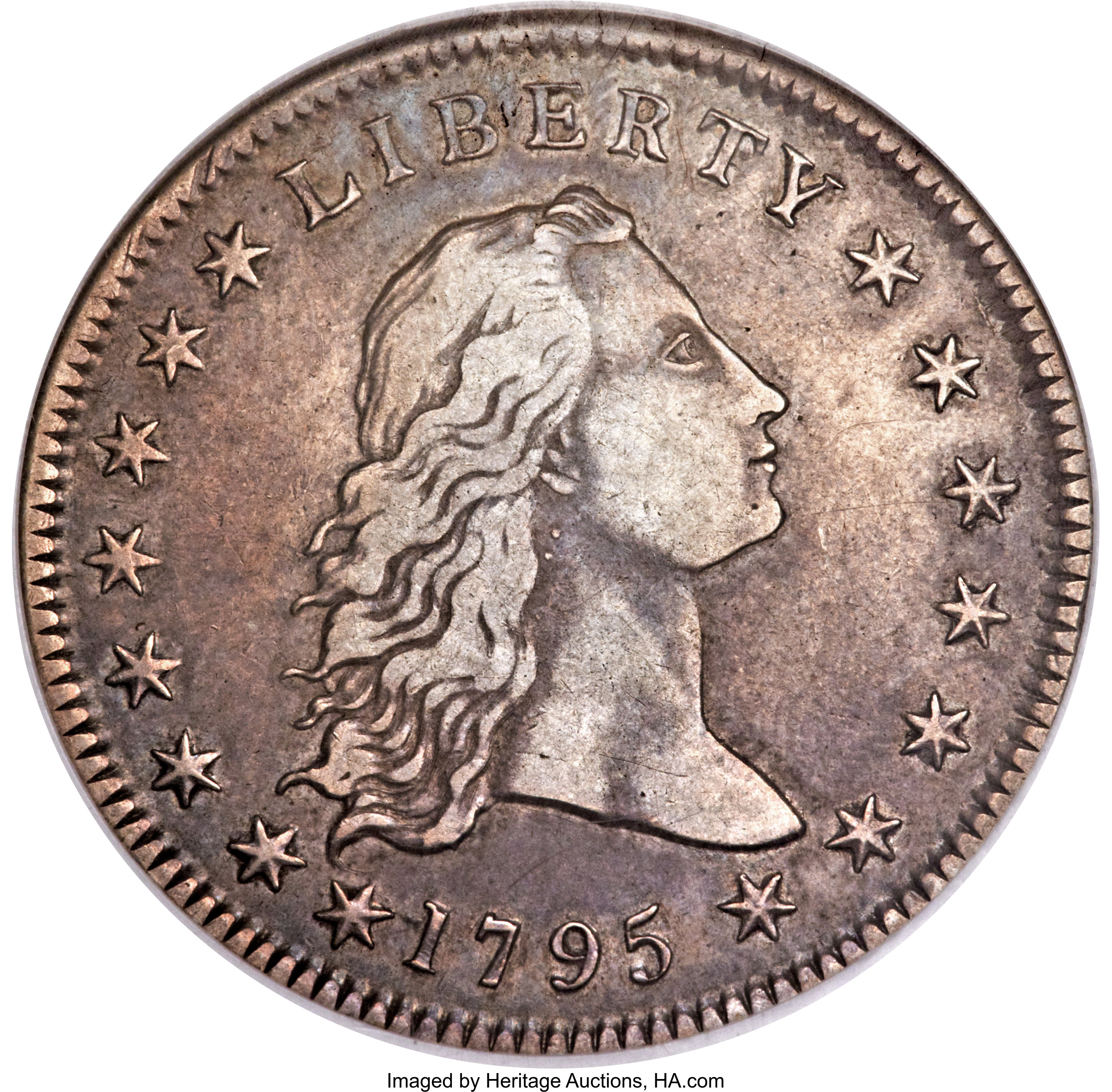 1795 $1 Flowing Hair, Two Leaves, B-4, BB-14, R.4, XF45 NGC. ...