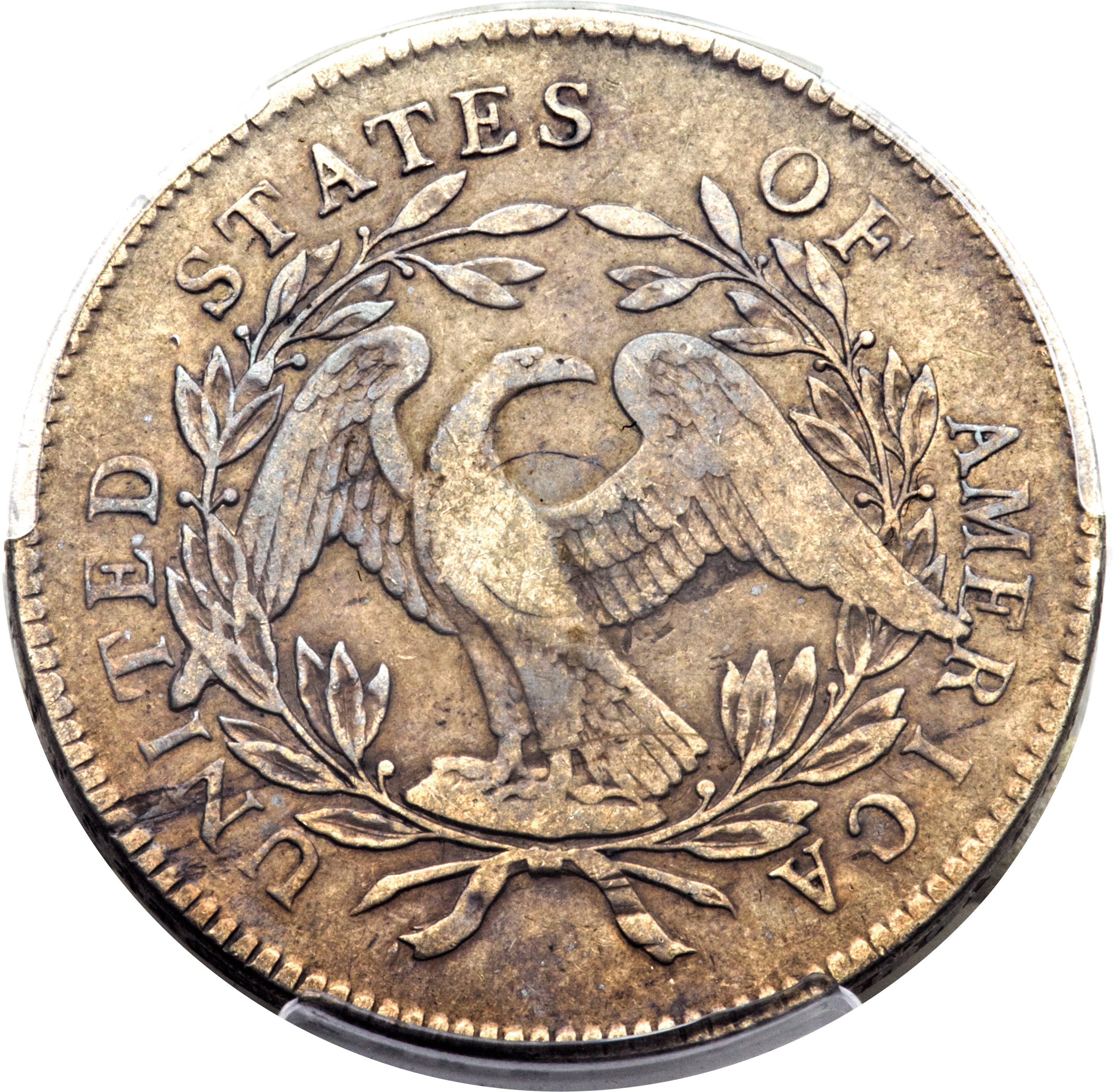 1795 $1  Flowing Hair, Silver Plug, 3 Leaves, B-7, BB-18 VG8 CAC thumbnail 19