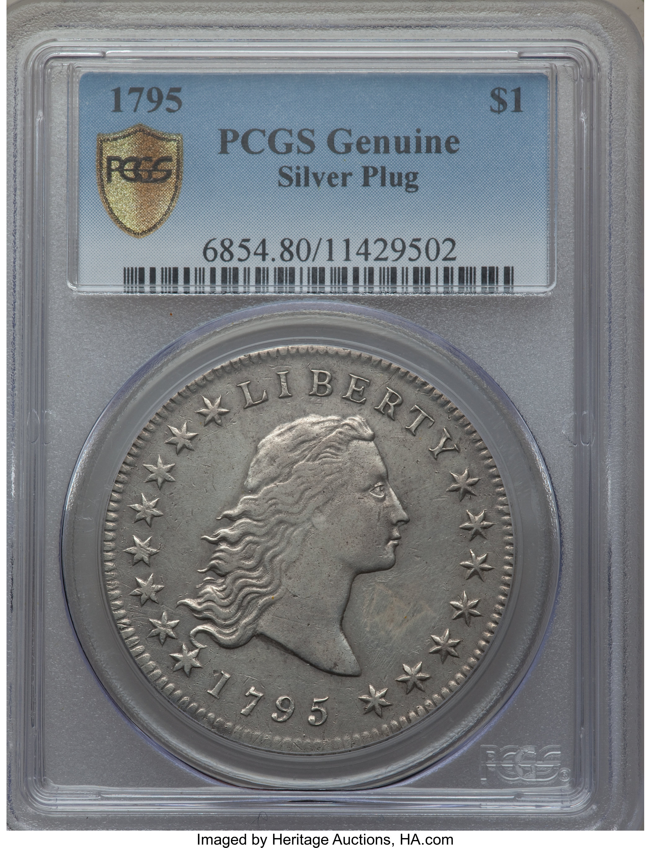 1795 $1  Flowing Hair, Silver Plug, 2 Leaves, B-1, BB-21 P1 thumbnail 23