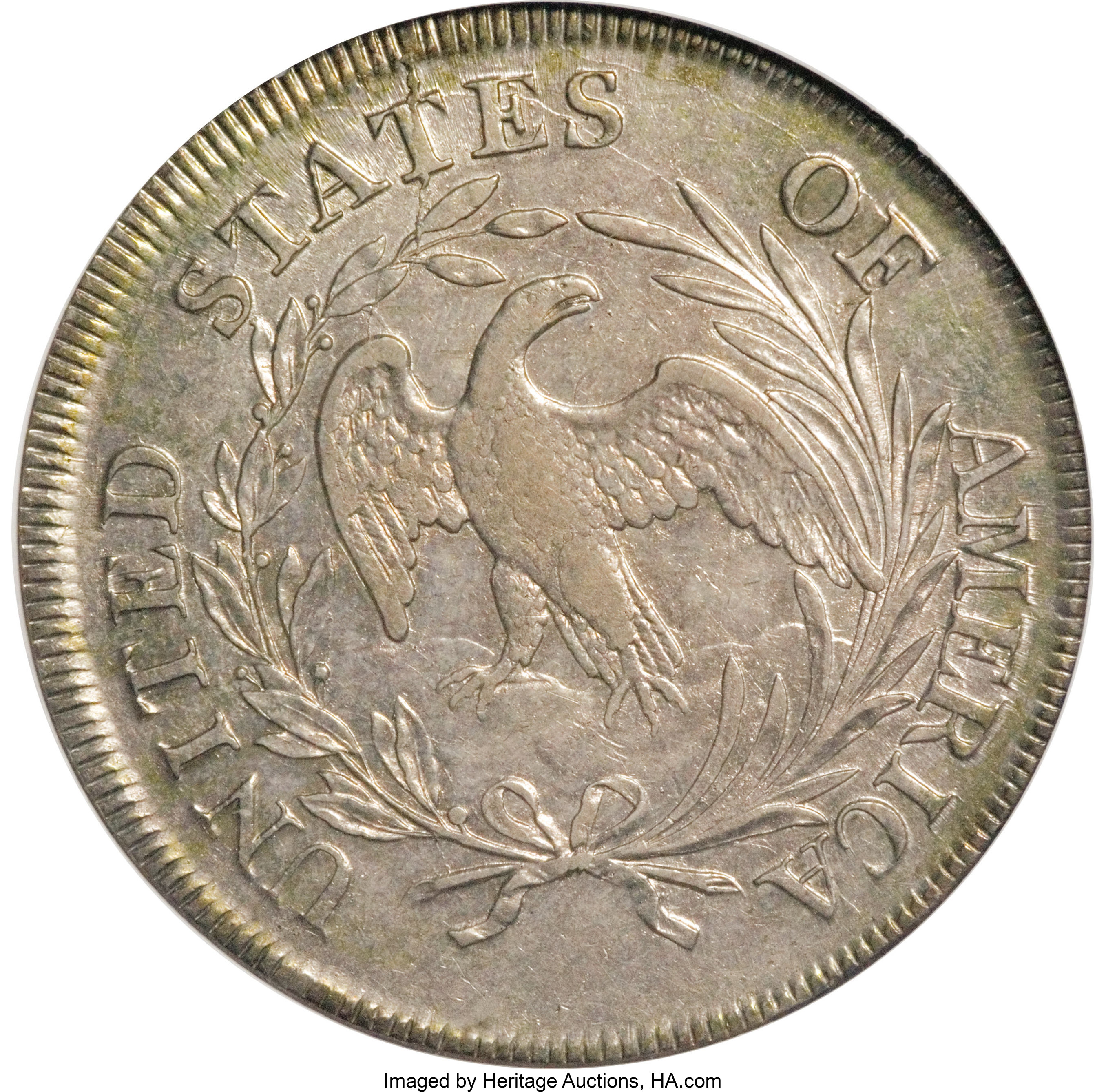 1798 $1  Small Eagle, 13 Stars Obverse, B-1, BB-82 MS60 thumbnail 10
