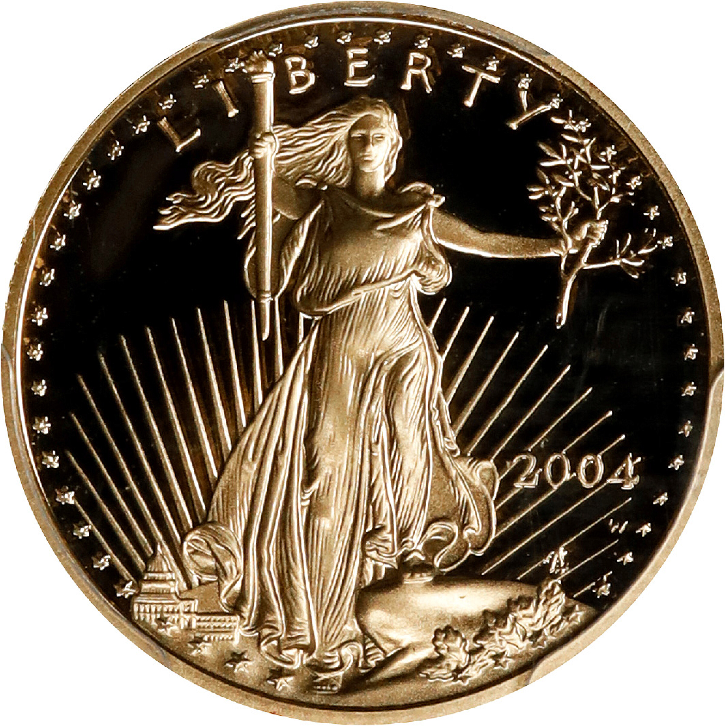 2004-W Tenth-Ounce Gold Eagle. Proof-70 Deep Cameo (PCGS).