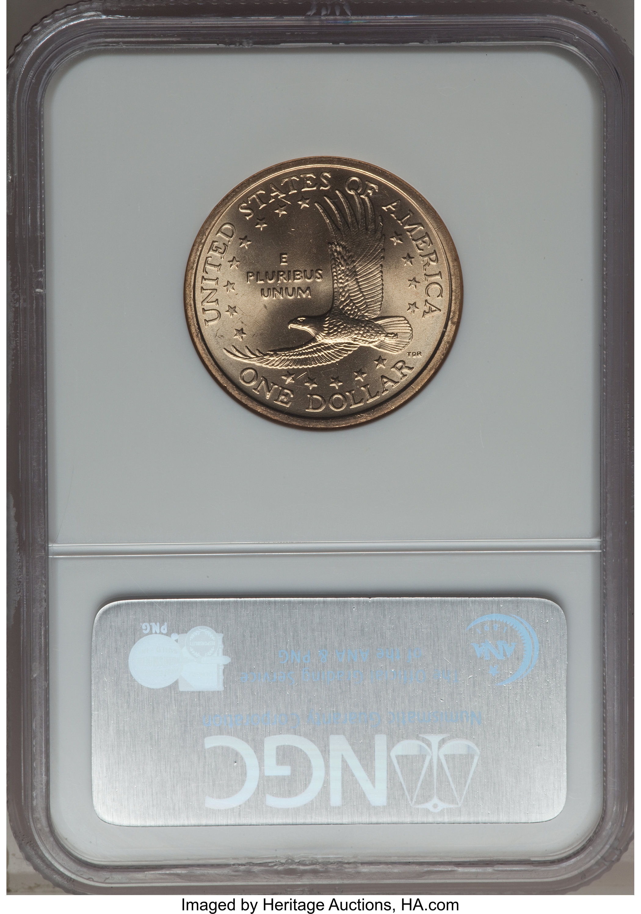 2006-P $1  Sacagawea MS63 thumbnail 13