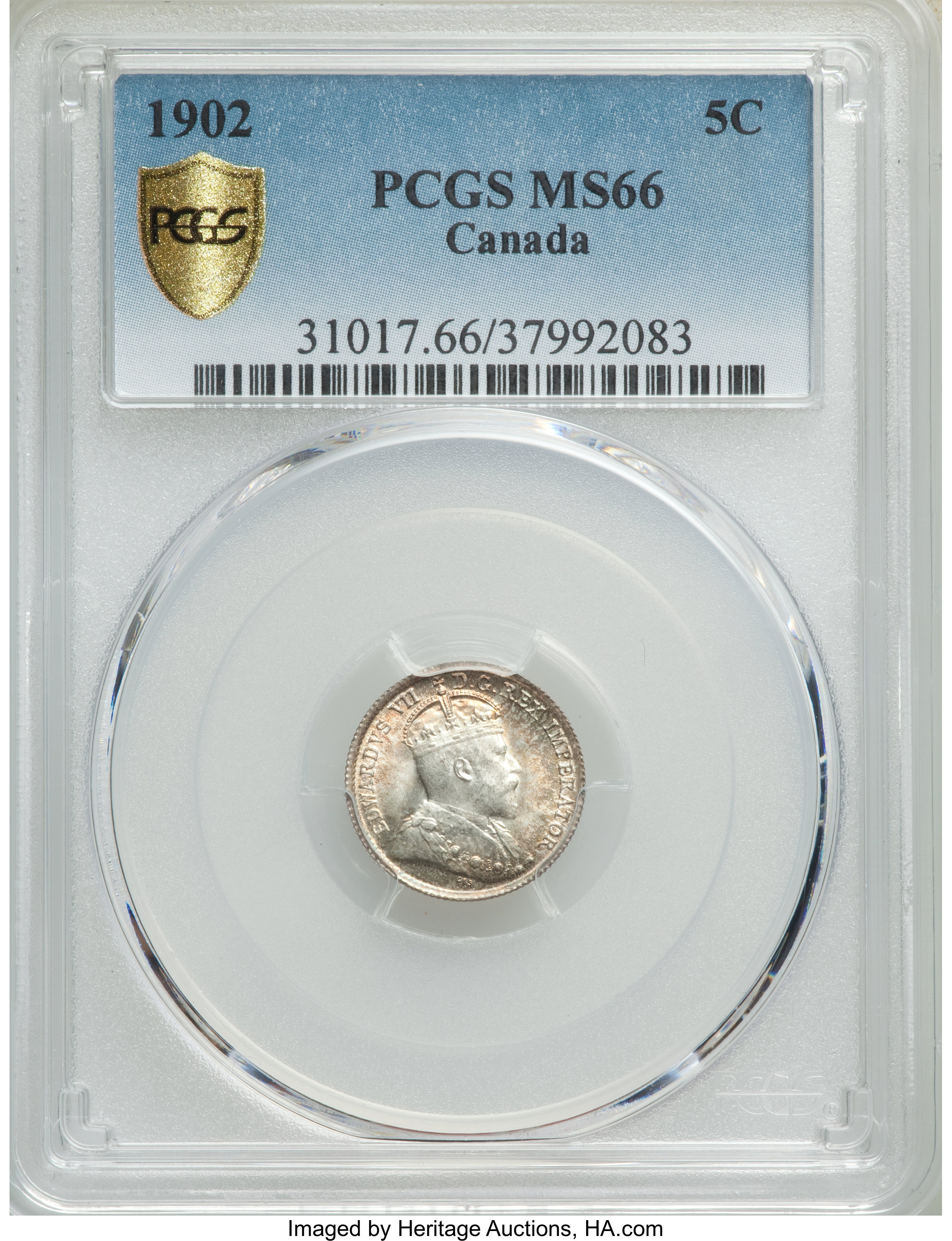1902 5c MS66 thumbnail 5