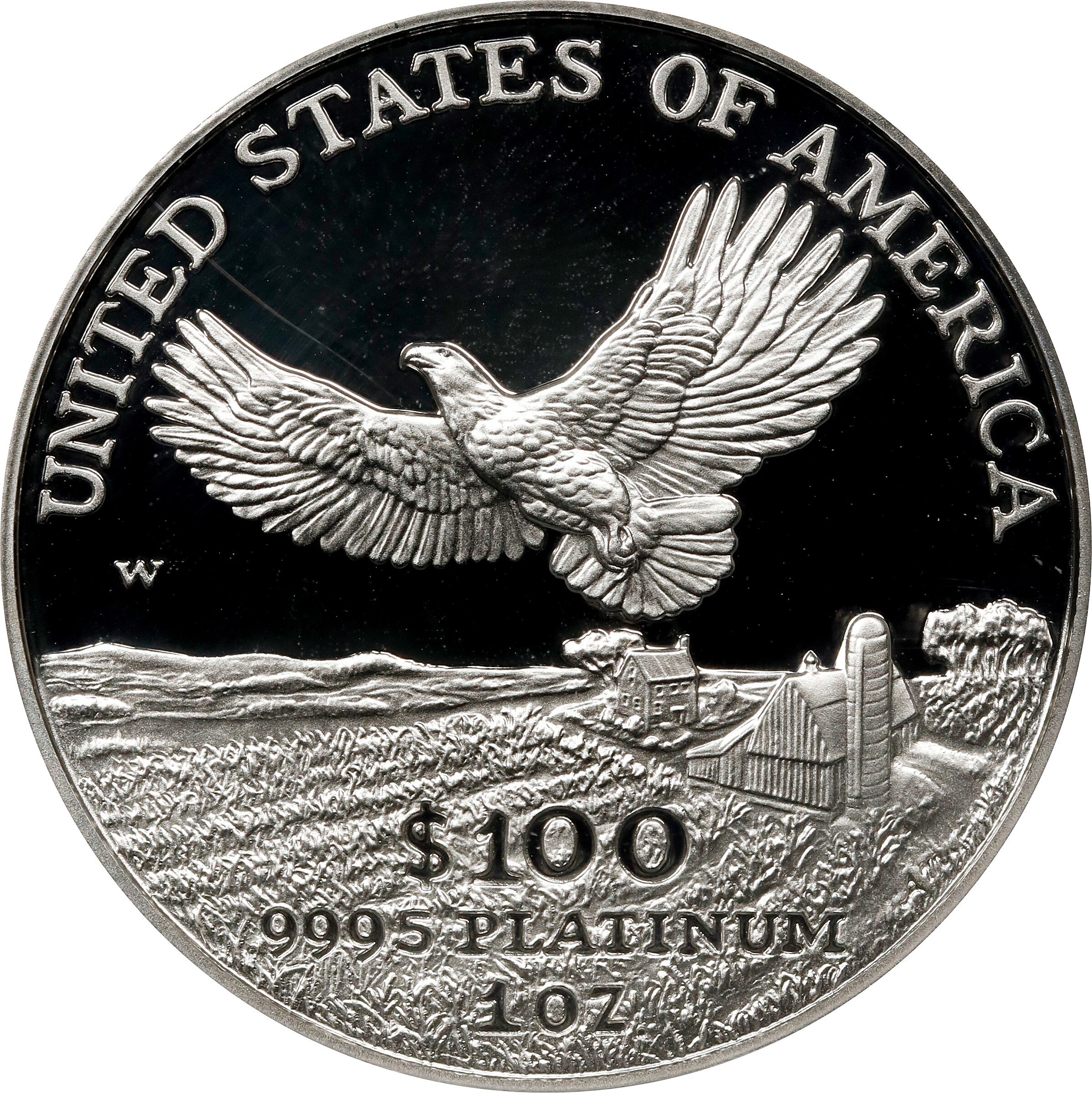 2000-W P$100  Platinum Eagle PR DCAM PR66 DCAM thumbnail 9