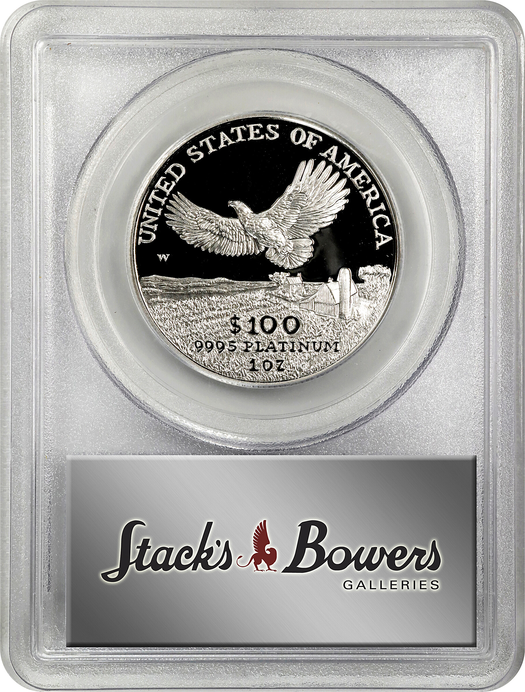 2000-W P$100  Platinum Eagle PR DCAM PR66 DCAM thumbnail 11