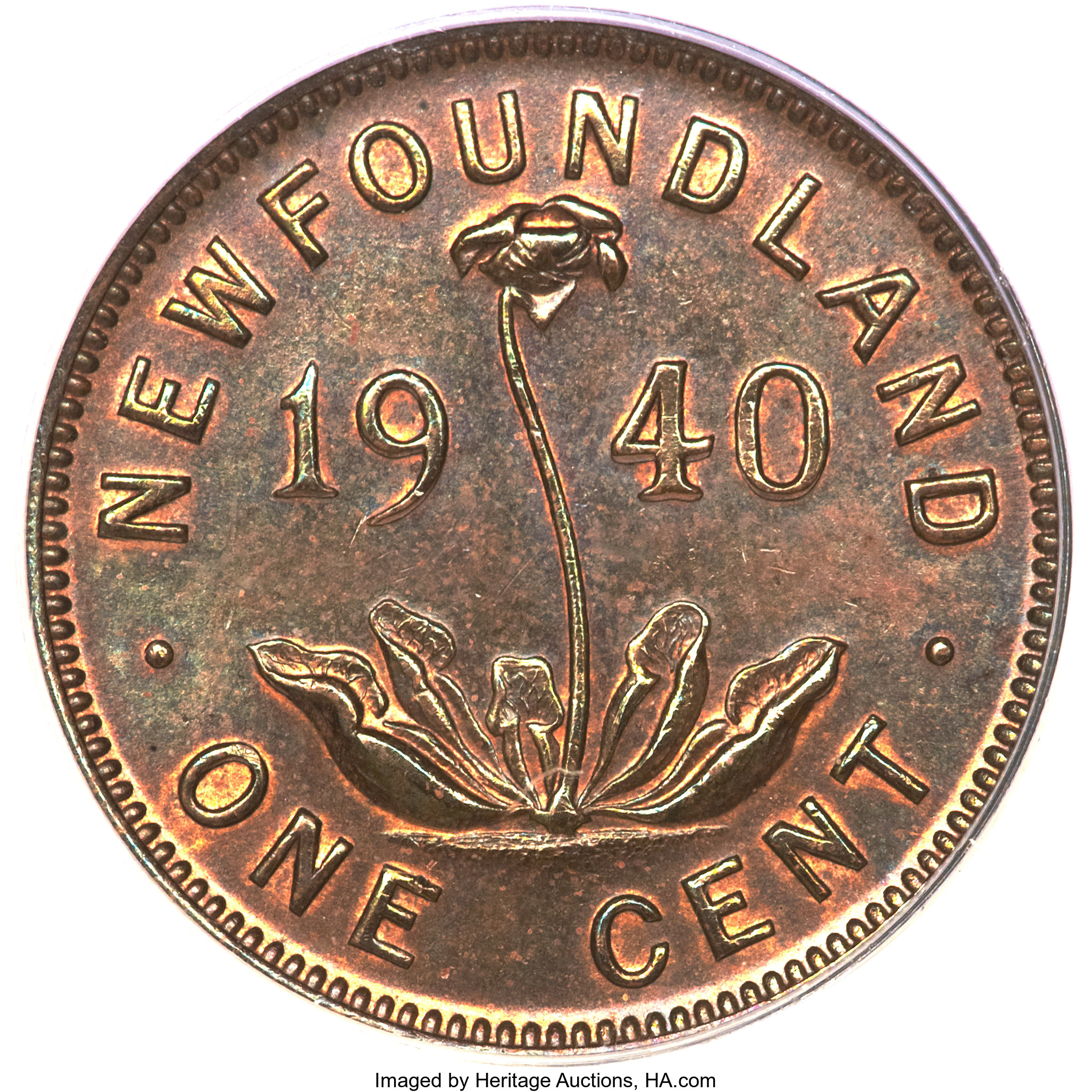 George VI 1c Newfoundland, 1938-1947 MS BN [Type] F12 BN thumbnail 18