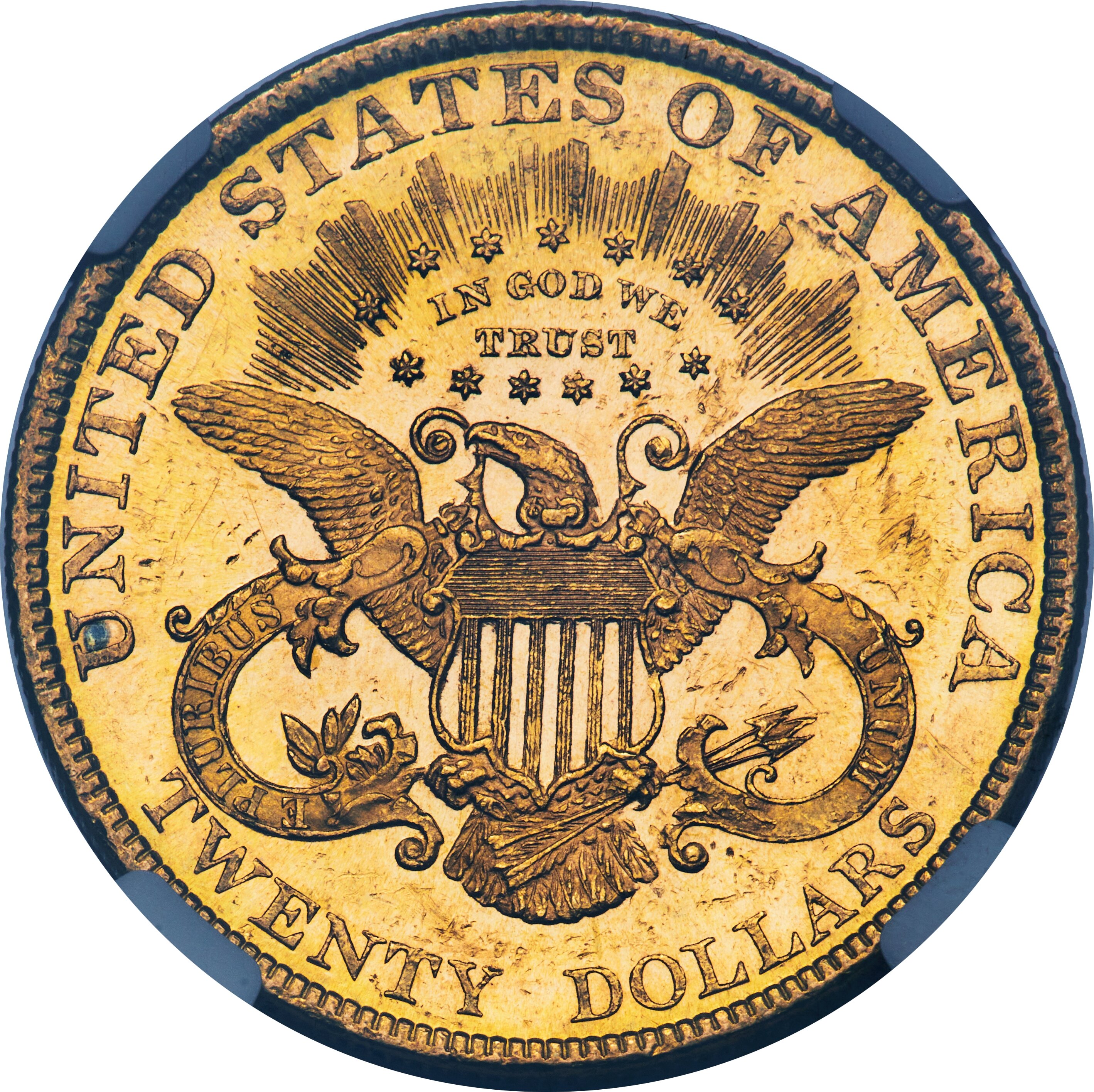 1895 $20  MS PL thumbnail 5