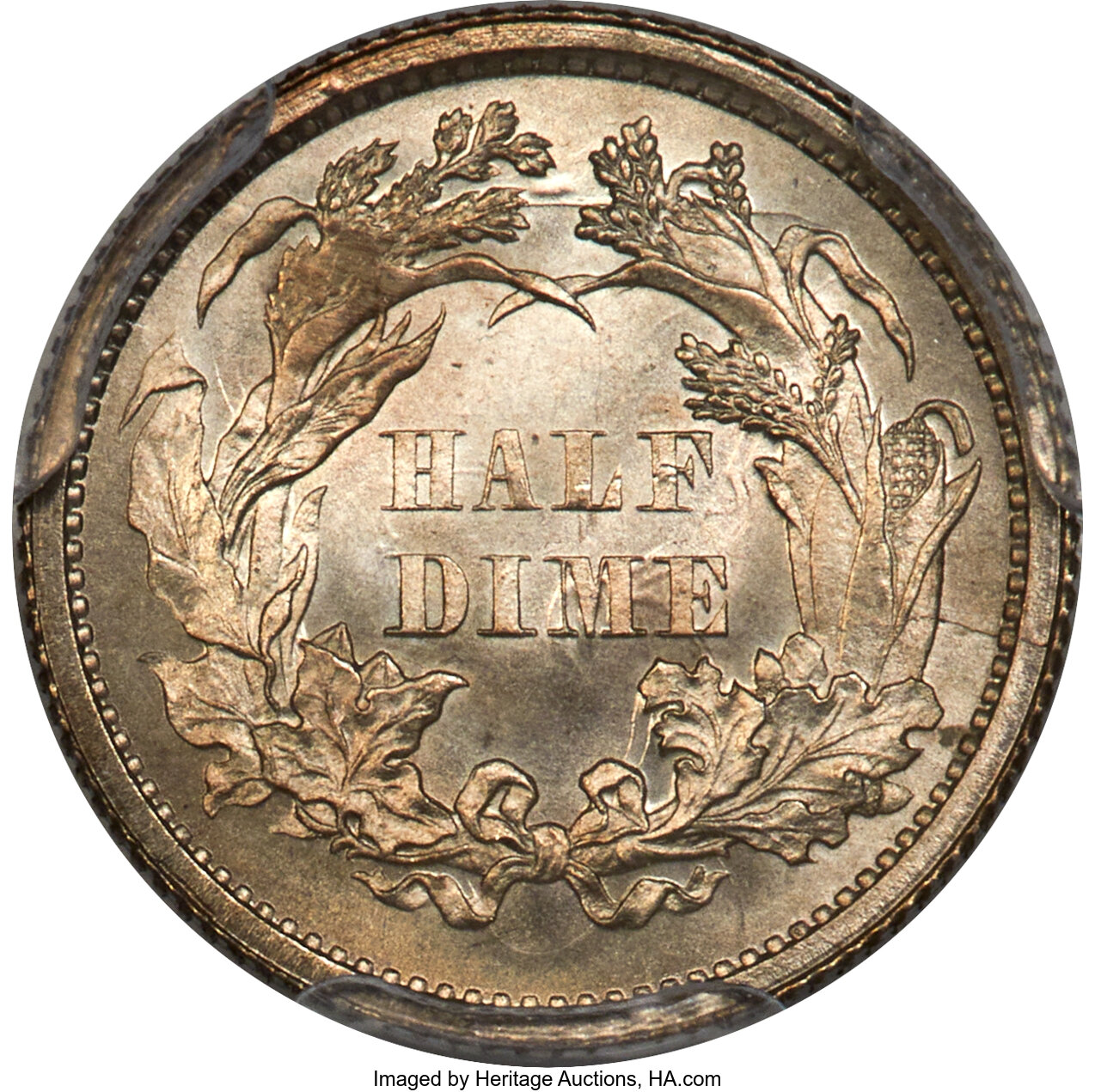 1864 H10c MS61 thumbnail 15