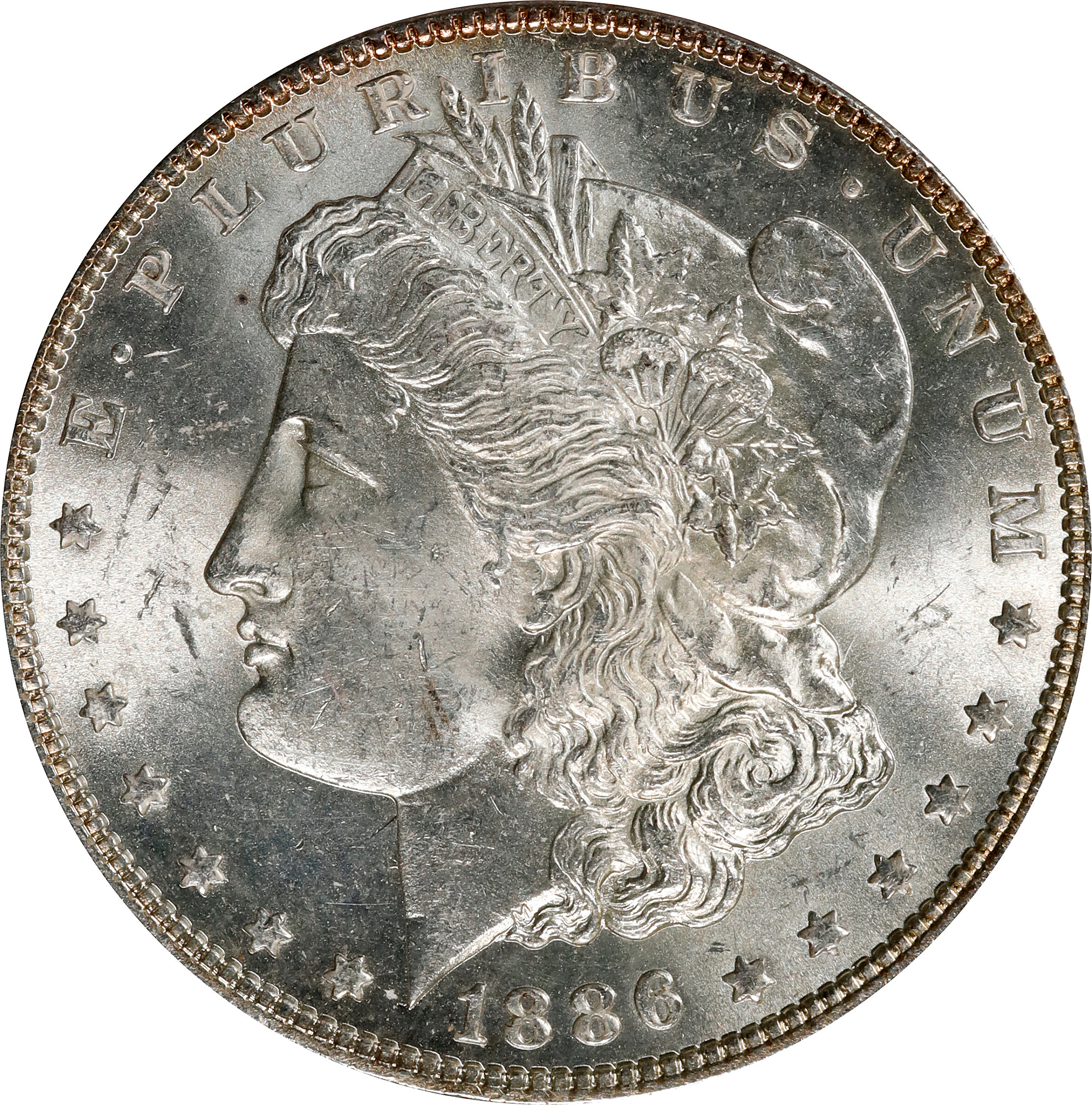1886 Morgan Silver Dollar. VAM-6A. MS-63 (ANACS). Discovery Piece.