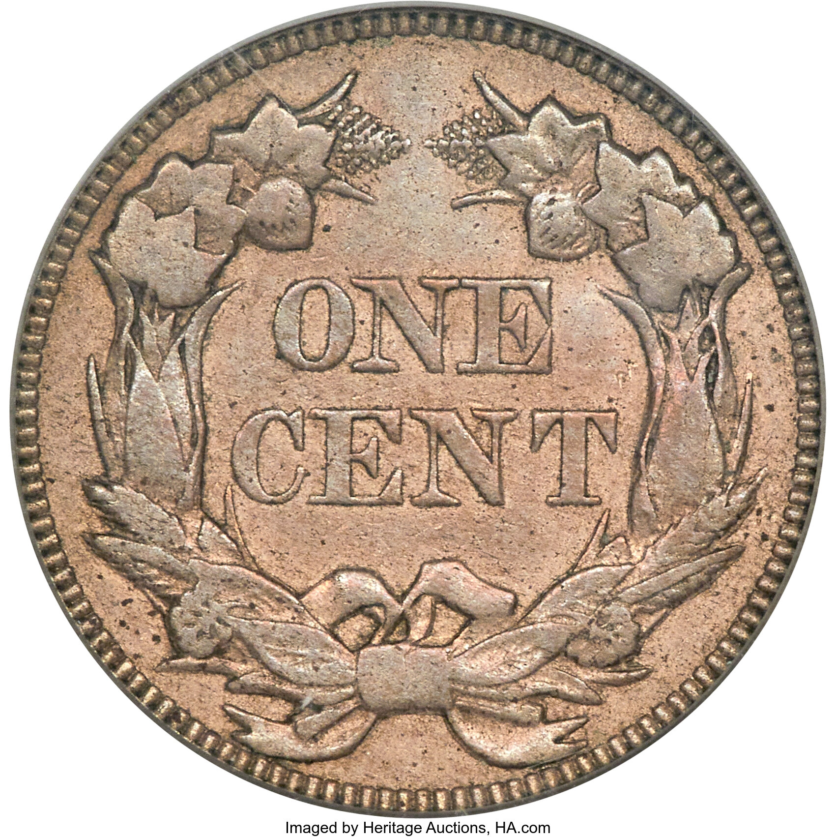 1856 1c Flying Eagle, Repunched 5, High Leaves, S-3 MS thumbnail 15