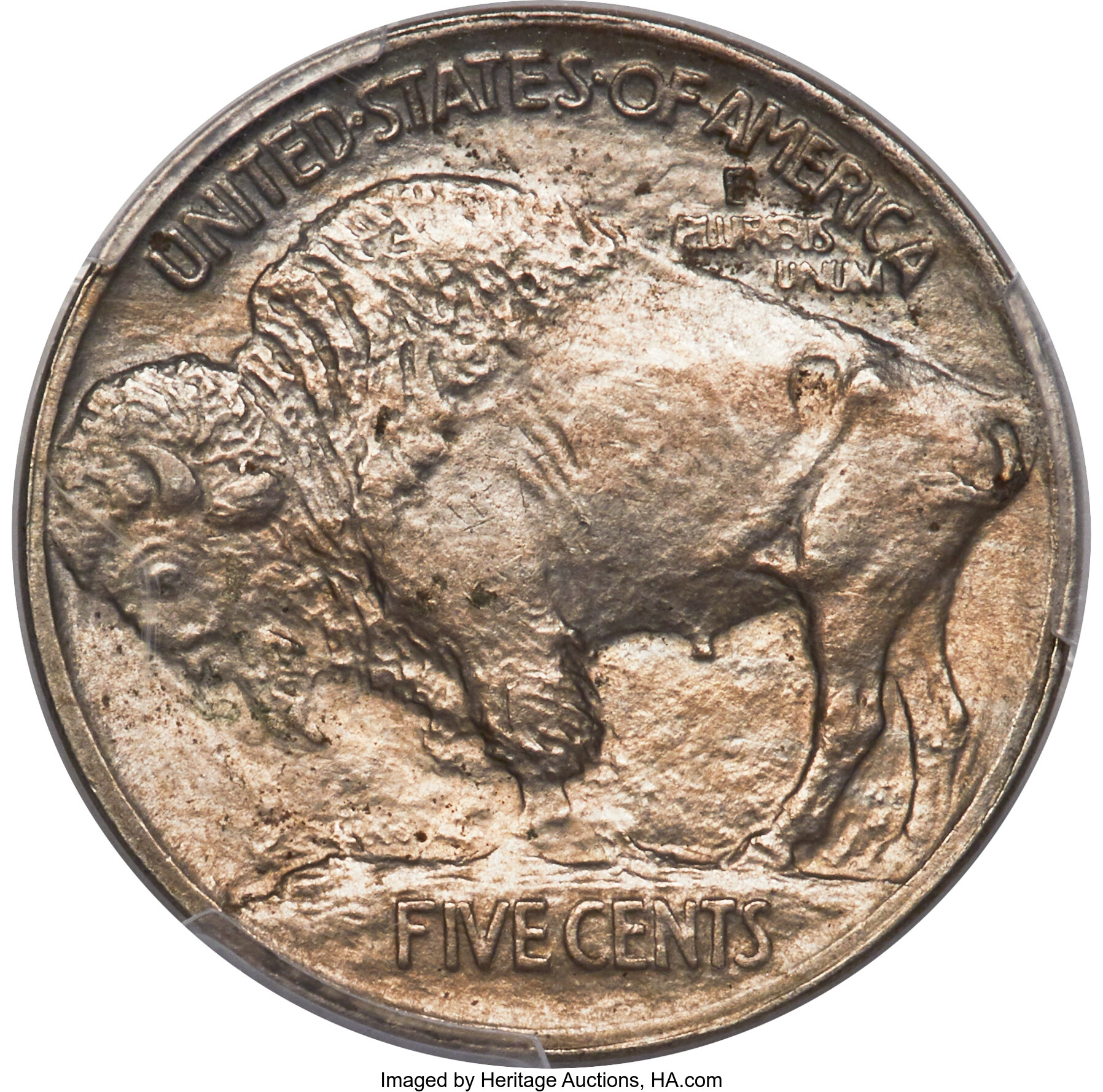 1913 5c Buffalo, Type 1, 3 1/2 Legs, FS-901 MS63 thumbnail 4
