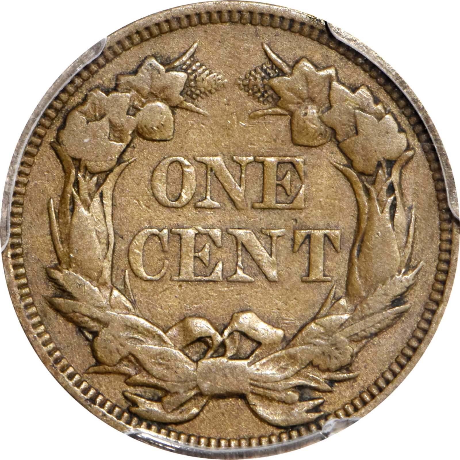 1856 1c Flying Eagle, Repunched 5, High Leaves, S-3 MS thumbnail 13