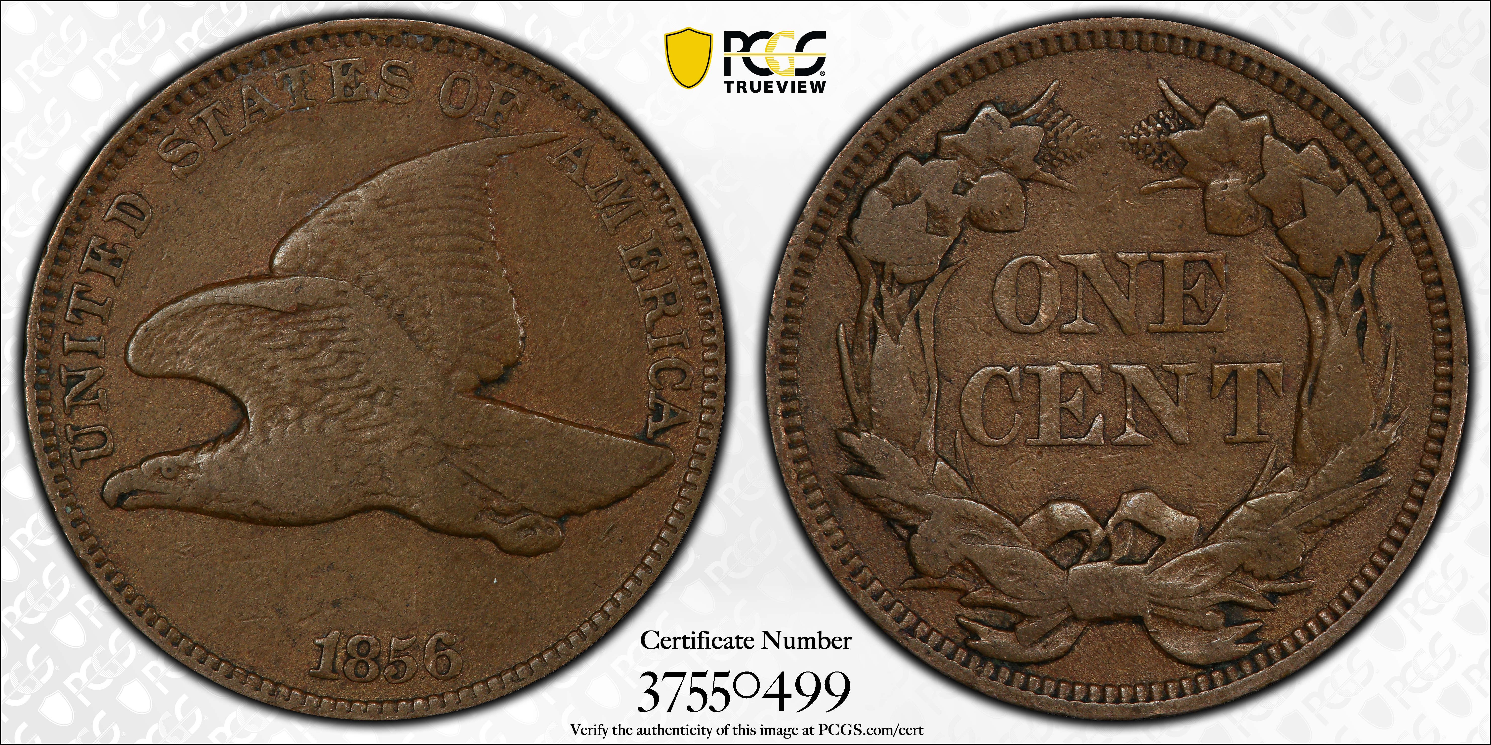 1856 1c Flying Eagle, Repunched 5, High Leaves, S-3 MS thumbnail 10