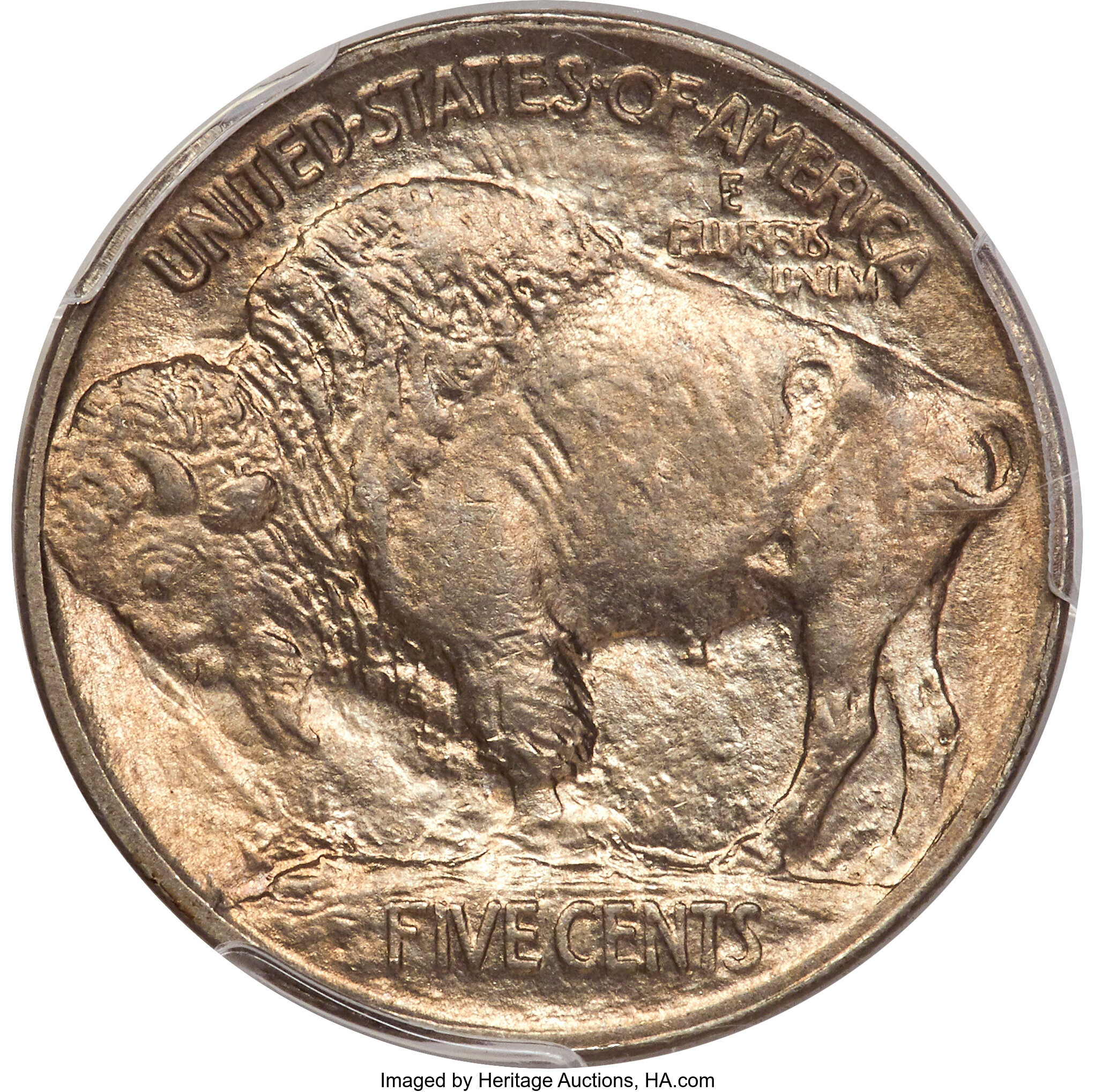 1913 5c Buffalo, Type 1, 3 1/2 Legs, FS-901 MS66 CAC thumbnail 2