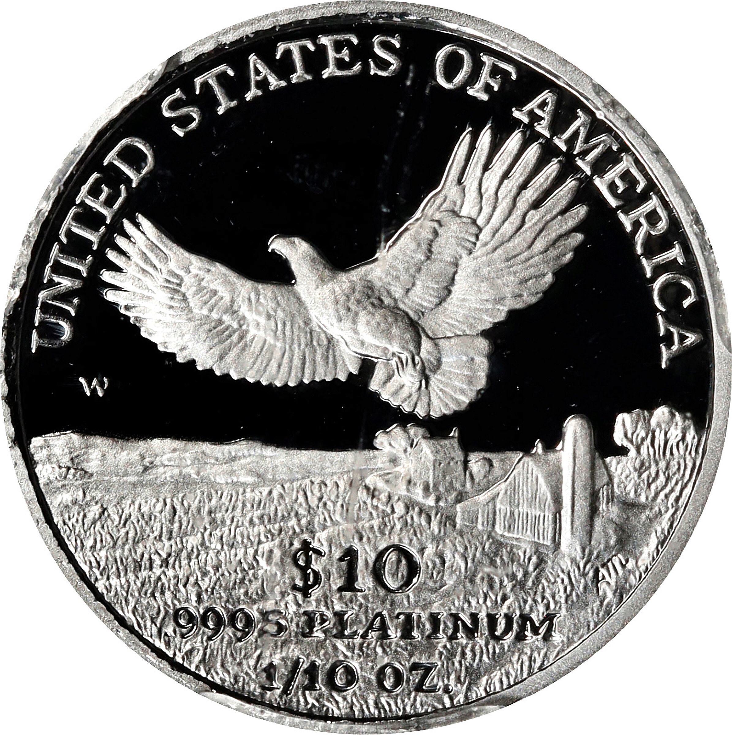 2000-W $10  Platinum Eagle PR DCAM PR70 DCAM thumbnail 12